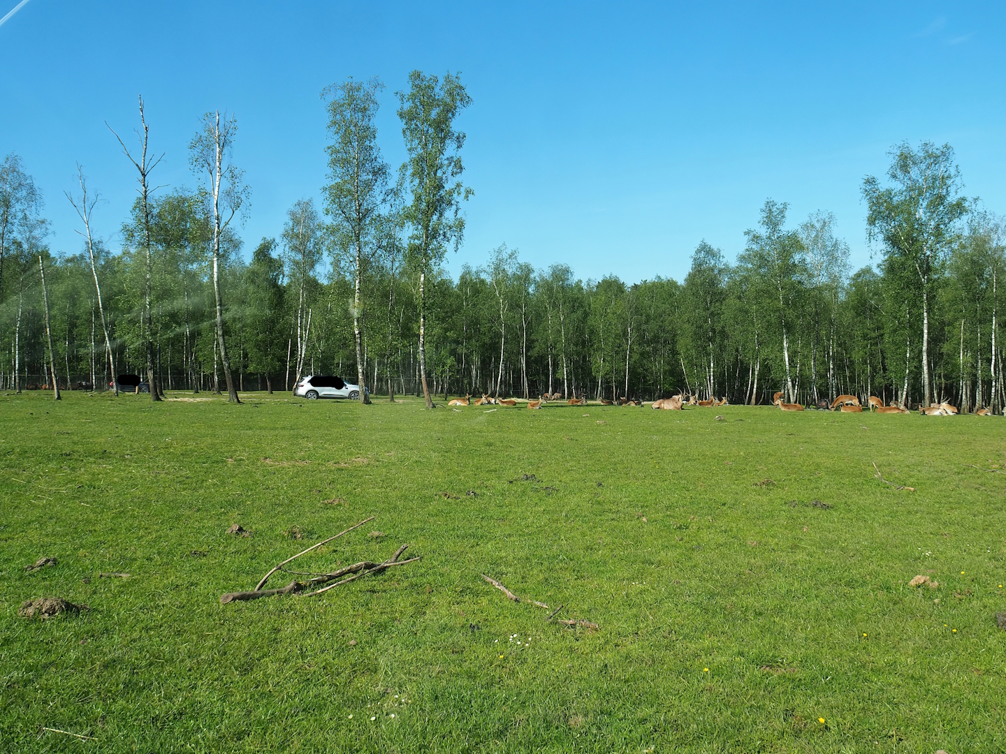 African drive-through safari, 2023-05-19