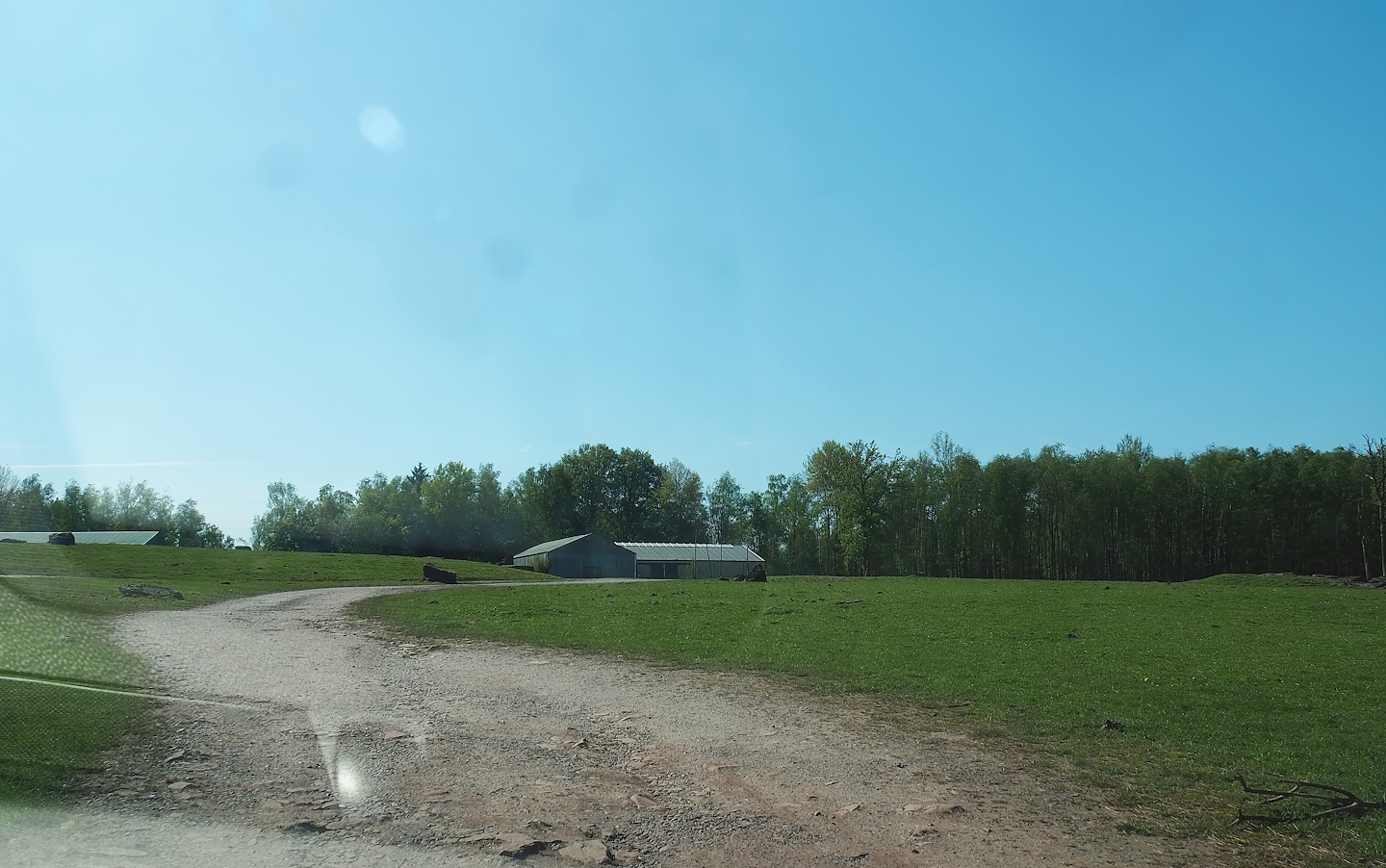 African drive-through safari, 2023-05-19