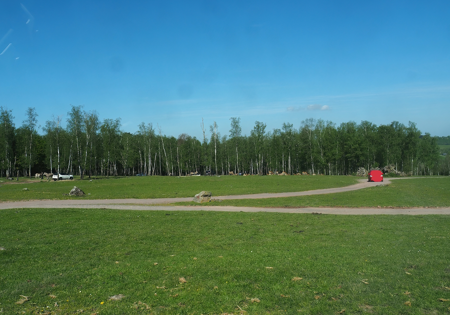 African drive-through safari, 2023-05-19