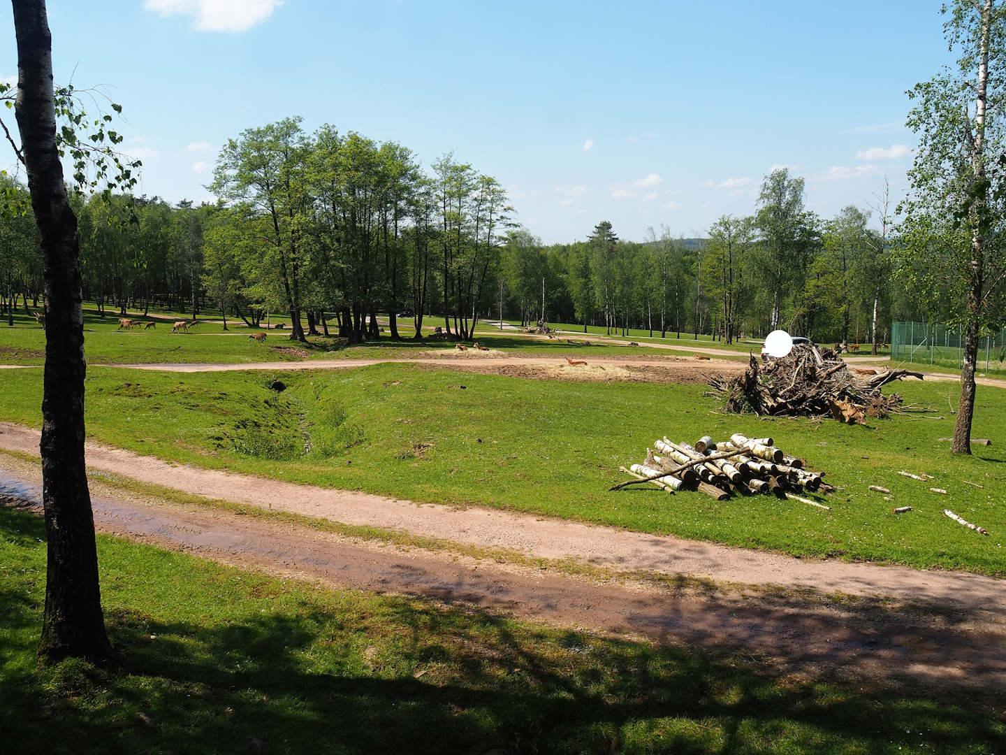 African drive-through safari exhibit, seen from the South American area, 2023-05-19