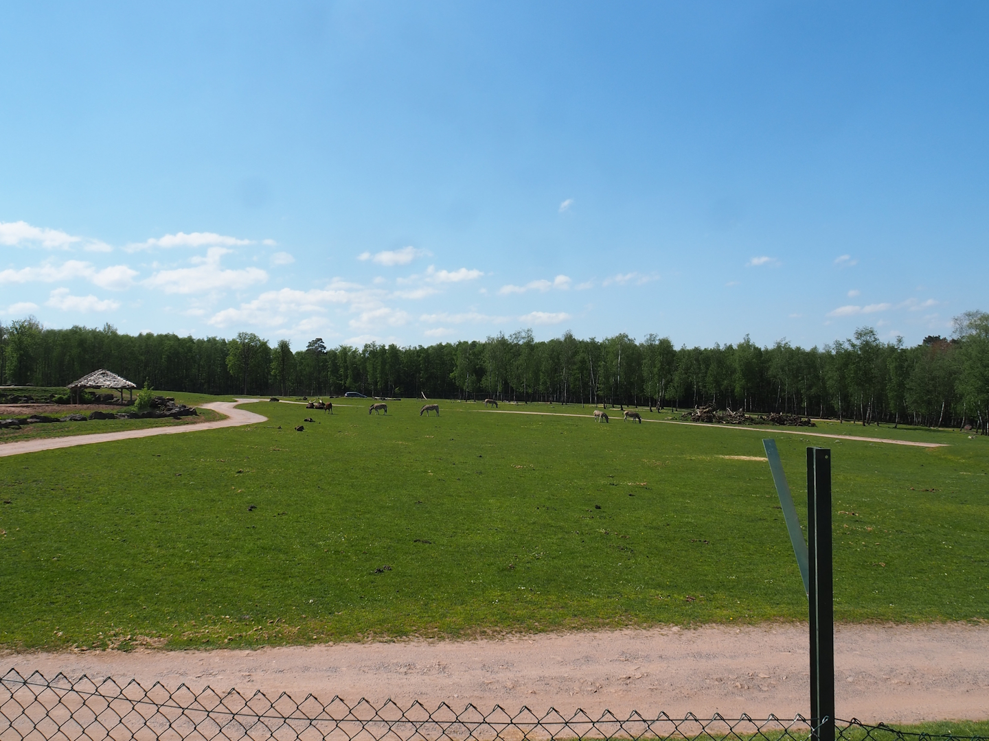 African drive-through safari exhibit seen from the walking section, 2023-05-19