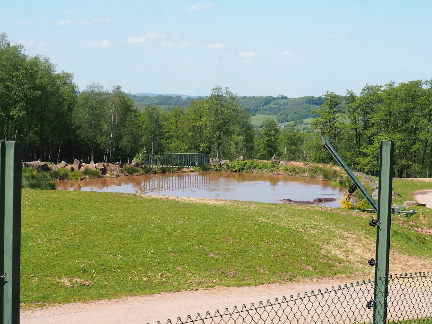 African drive-through safari exhibit - Separated hippopotamus pond seen from the walking section, 2023-05-19