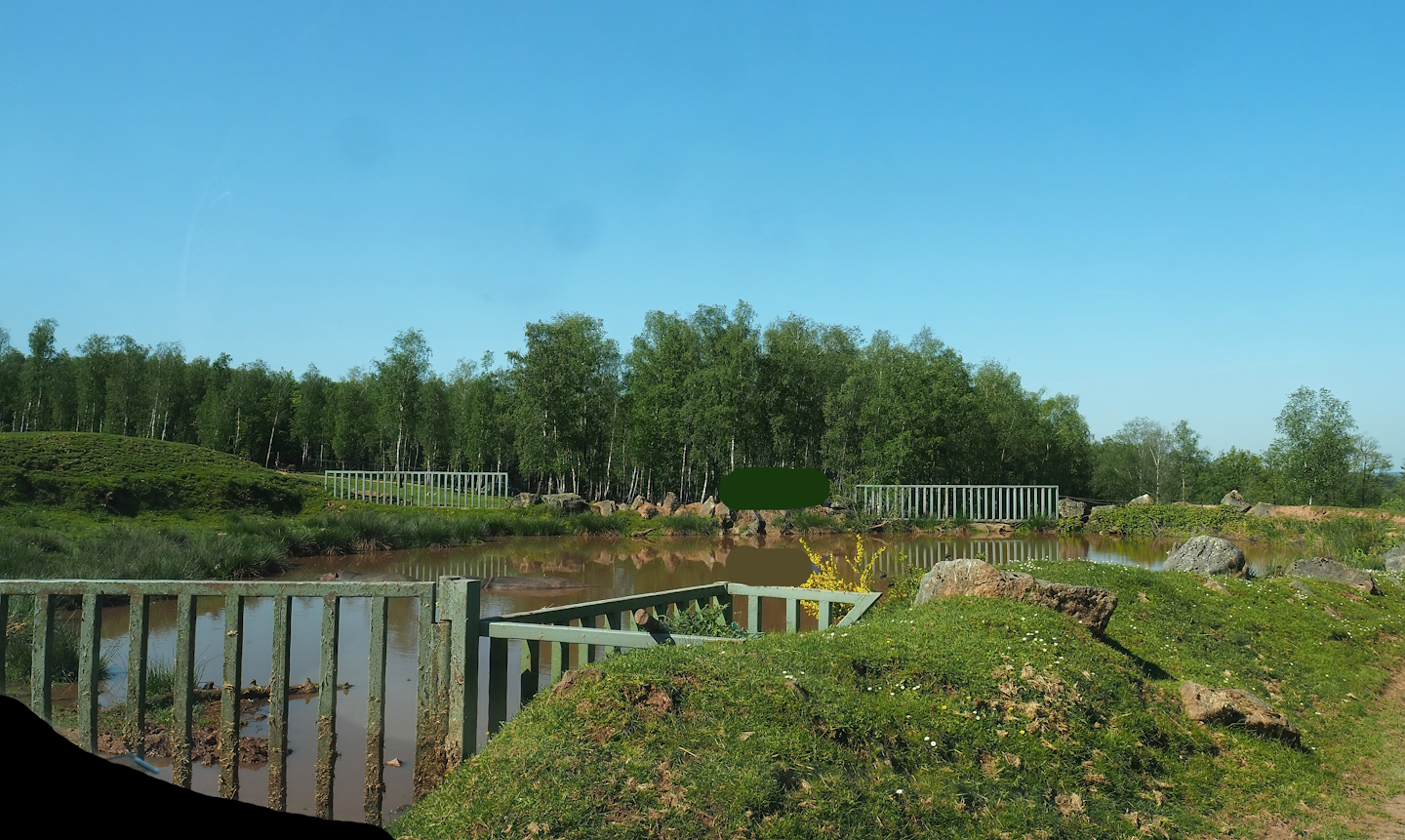 African drive-through safari - Hippopotamus pond separated from main drive-through exhibit, 2023-05-19