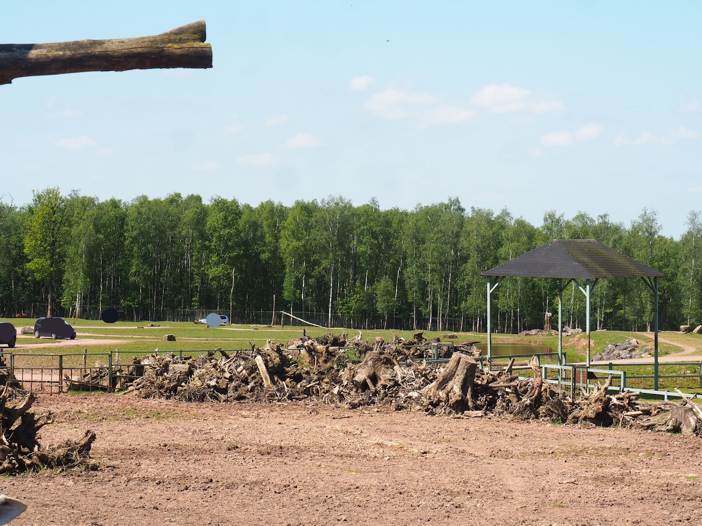 African drive-through safari seen from the viewing area on the ostrich barn, 2023-05-19