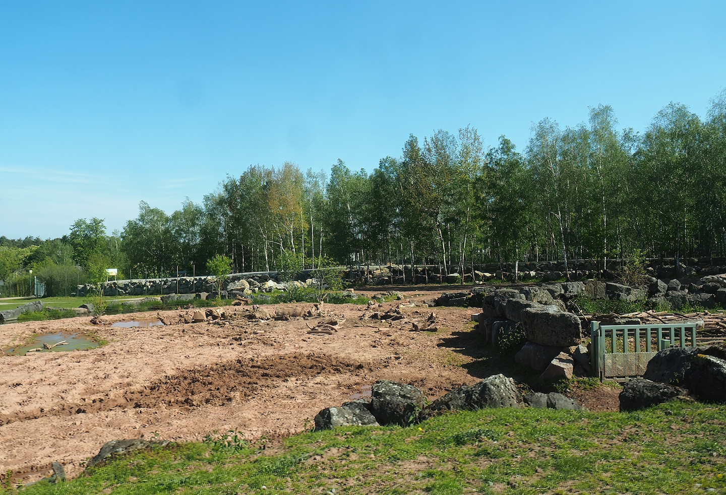 African drive-through safari - Southern white rhinoceros and warthog paddock, 2023-05-19