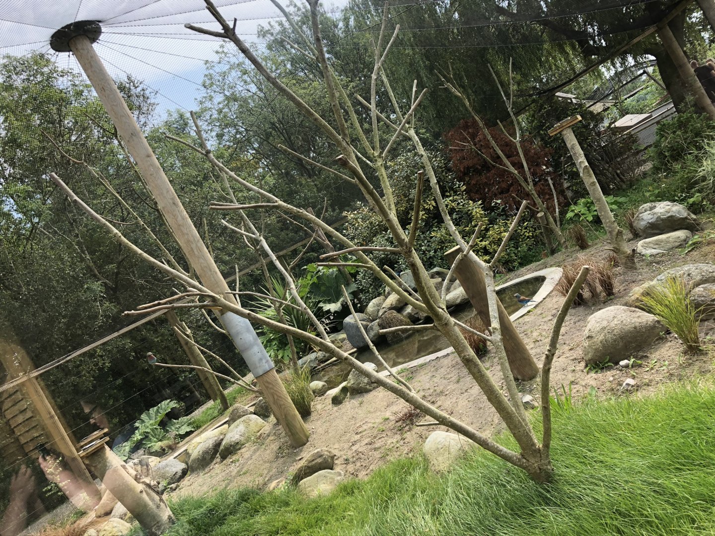 African Drylands Aviary at Lakeland Wildlife Oasis (2020)