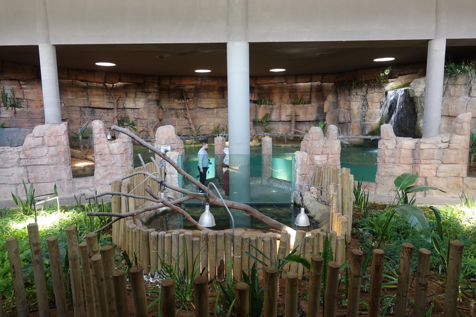 African Dwarf Crocodile and Turtle Enclosures