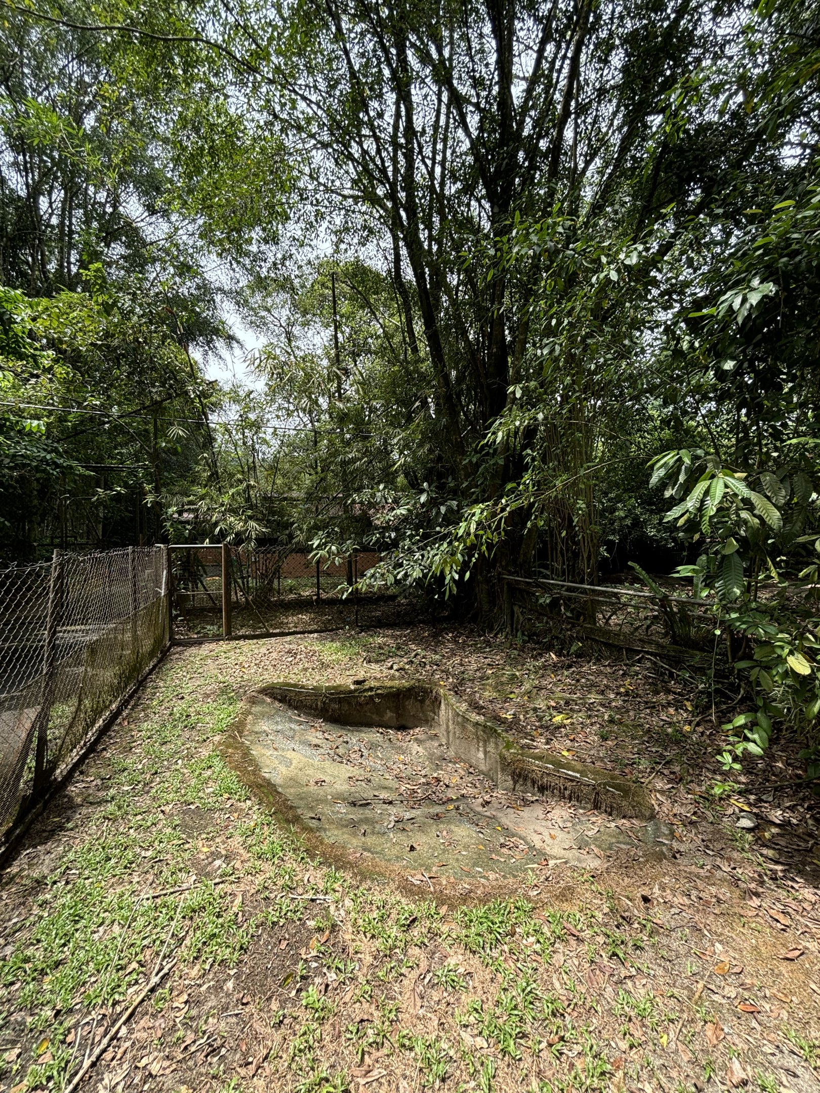 African Dwarf Crocodile Exhibit - empty