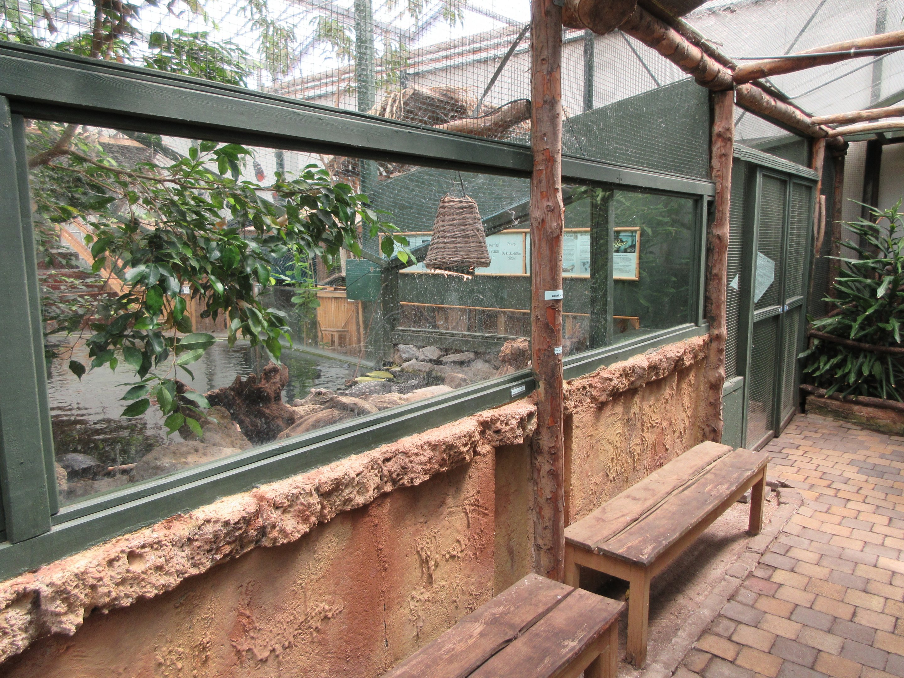 African Dwarf Crocodile Exhibit