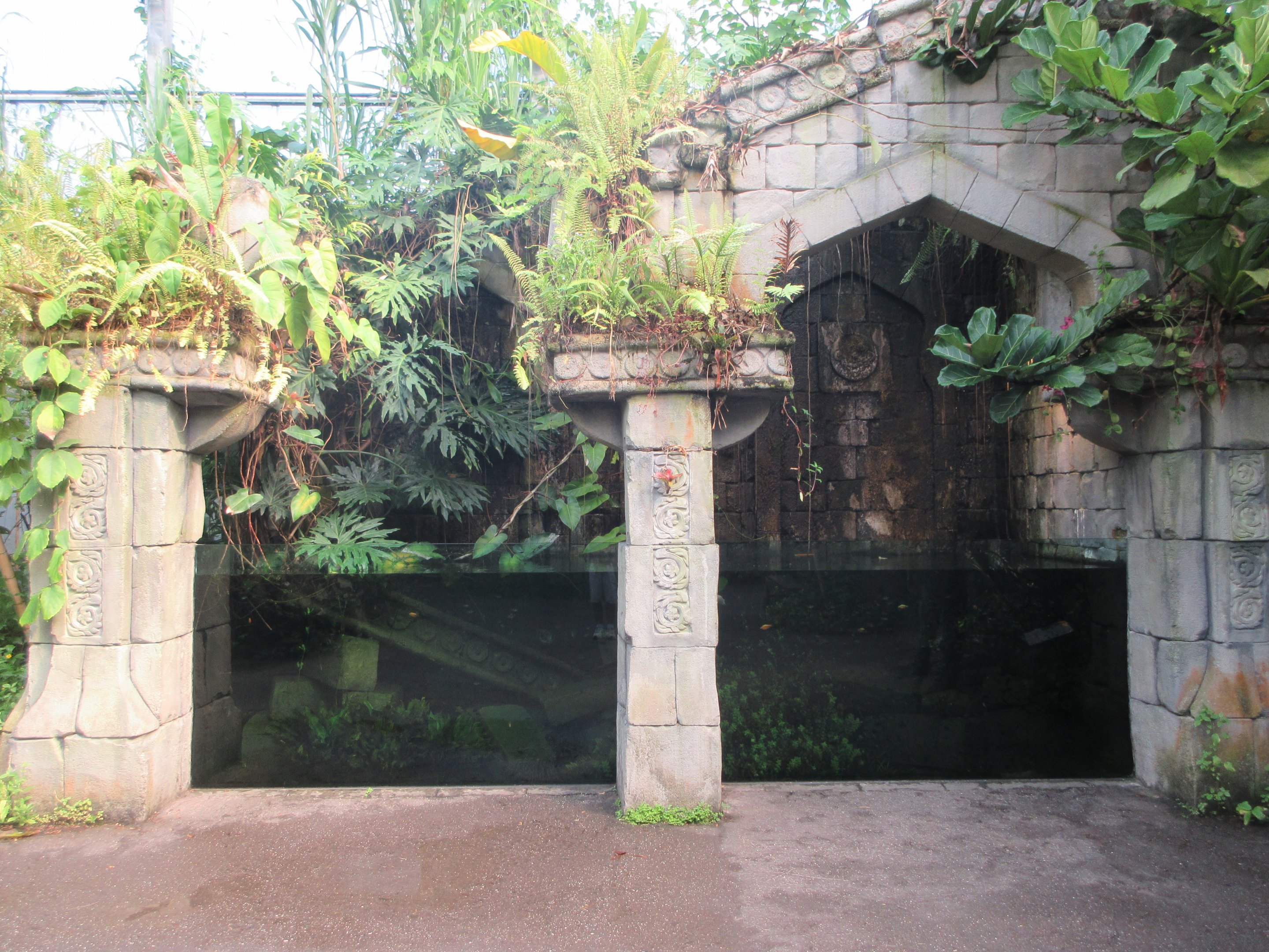 African Dwarf Crocodile Exhibit