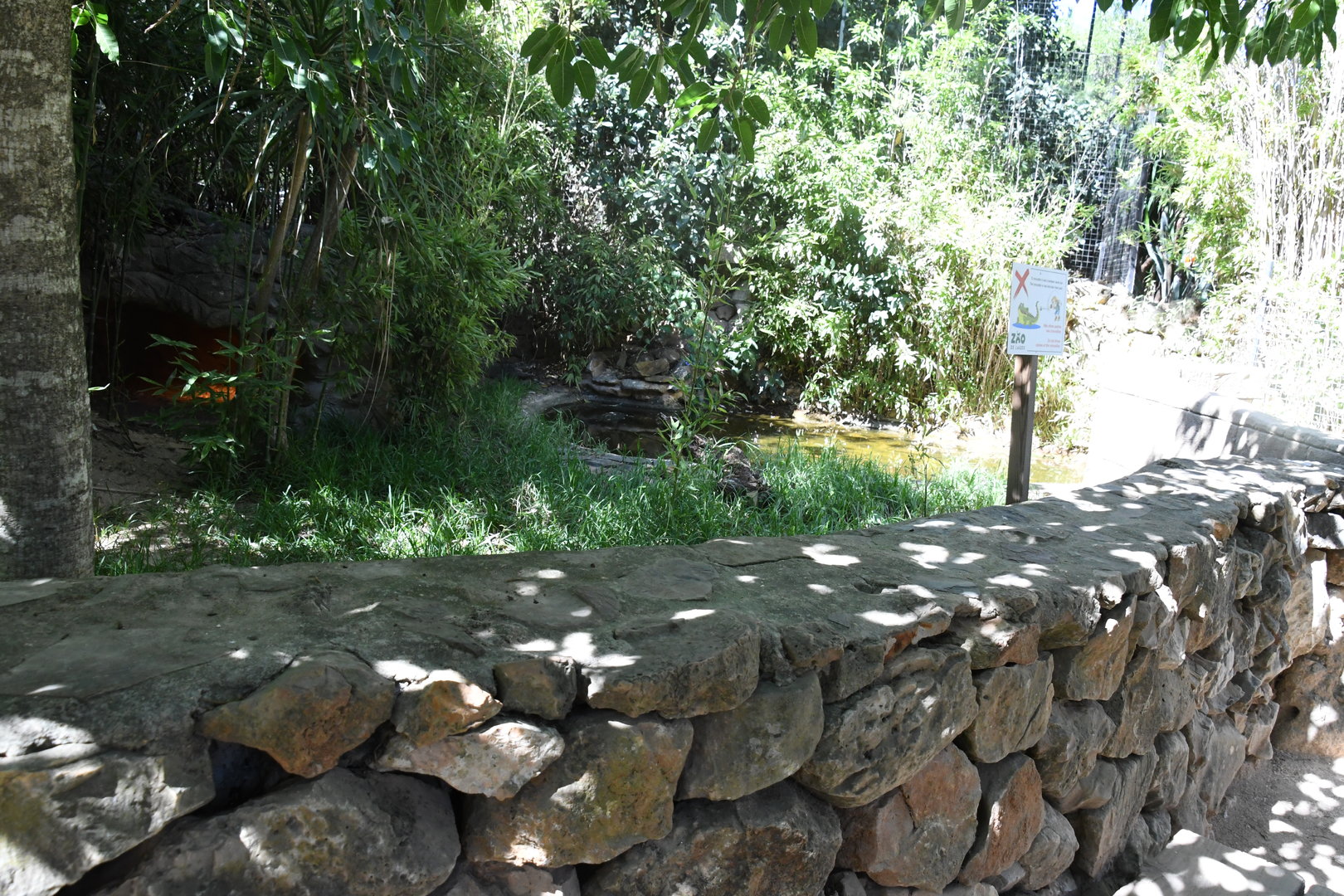 African Dwarf Crocodile Exhibit