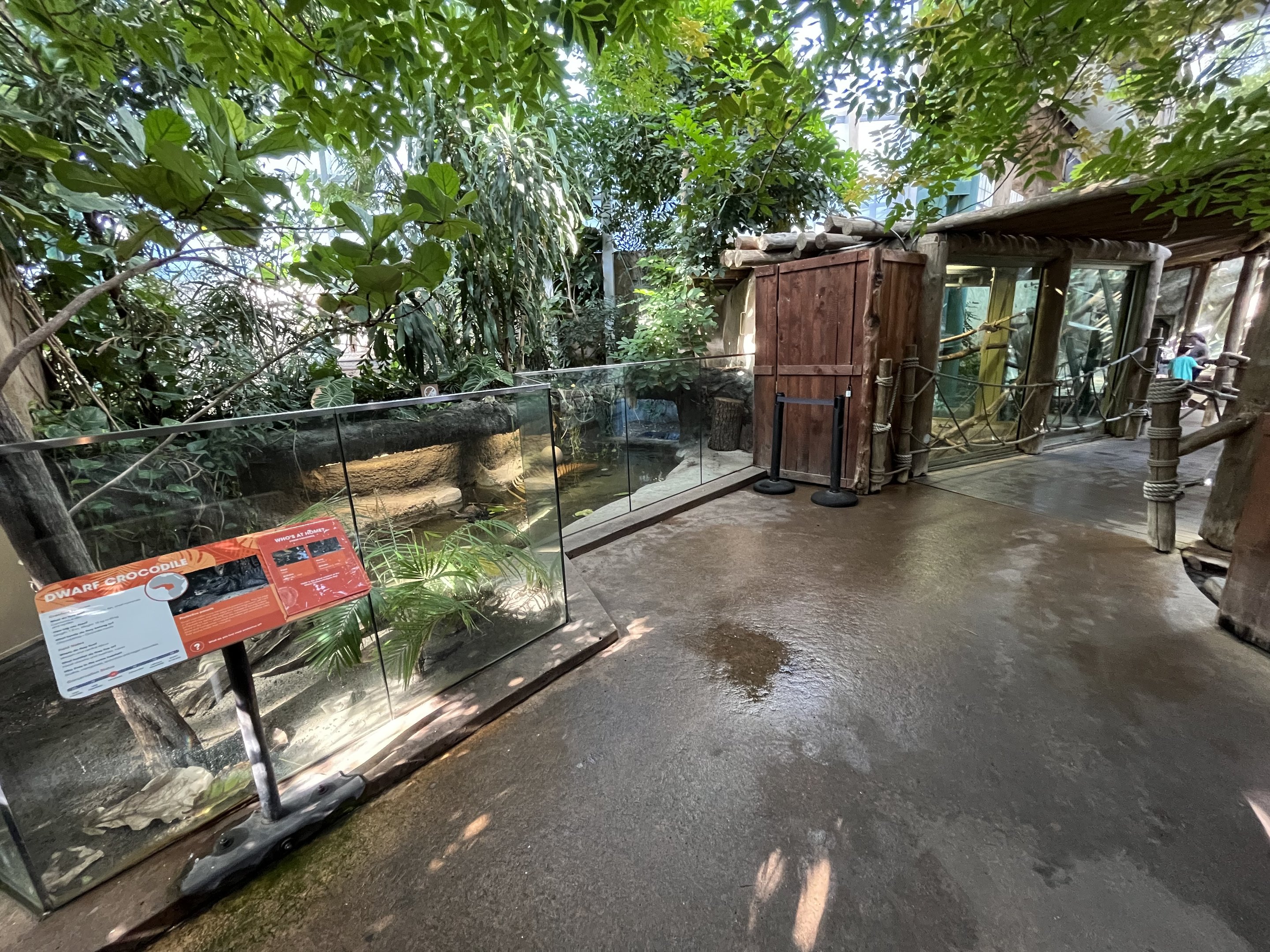 African Dwarf Crocodile Exhibit