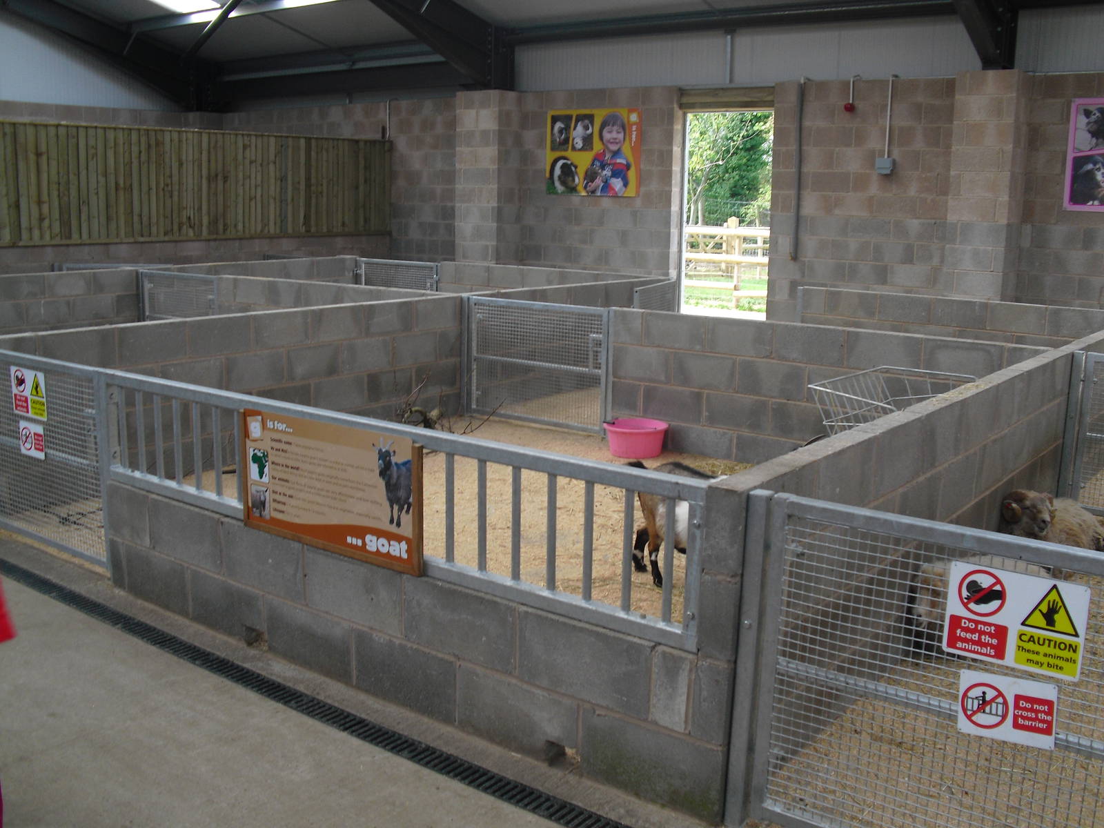 African Dwarf Goat Stalls - 01/10/2011
