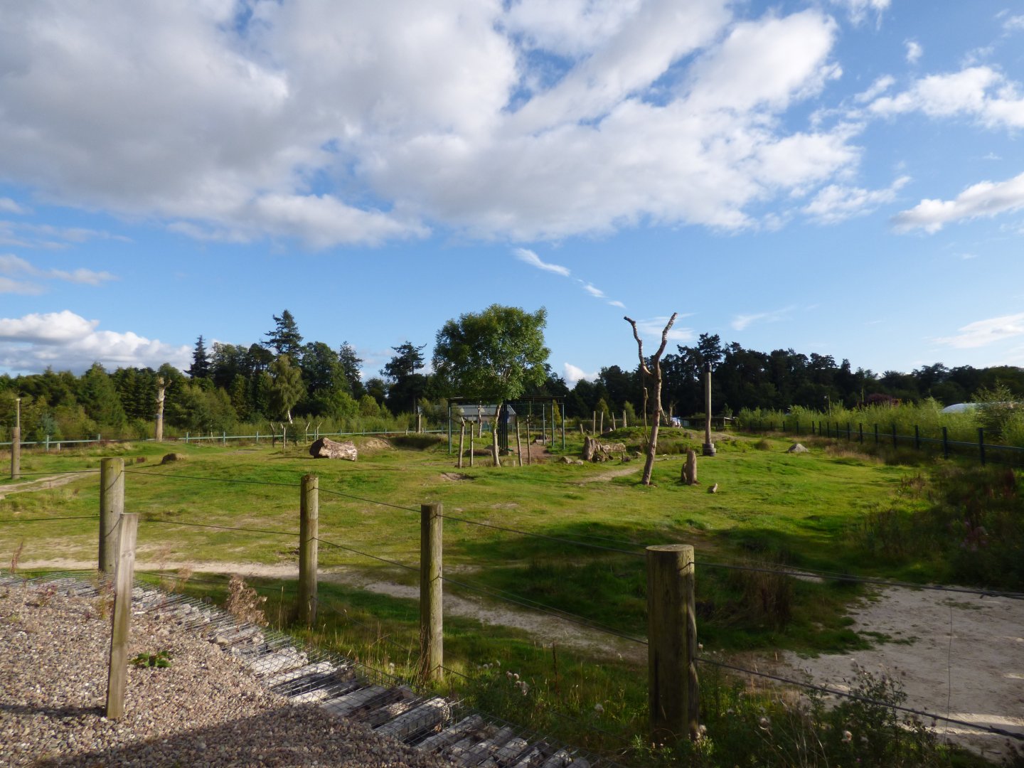 African Elehpant Paddock