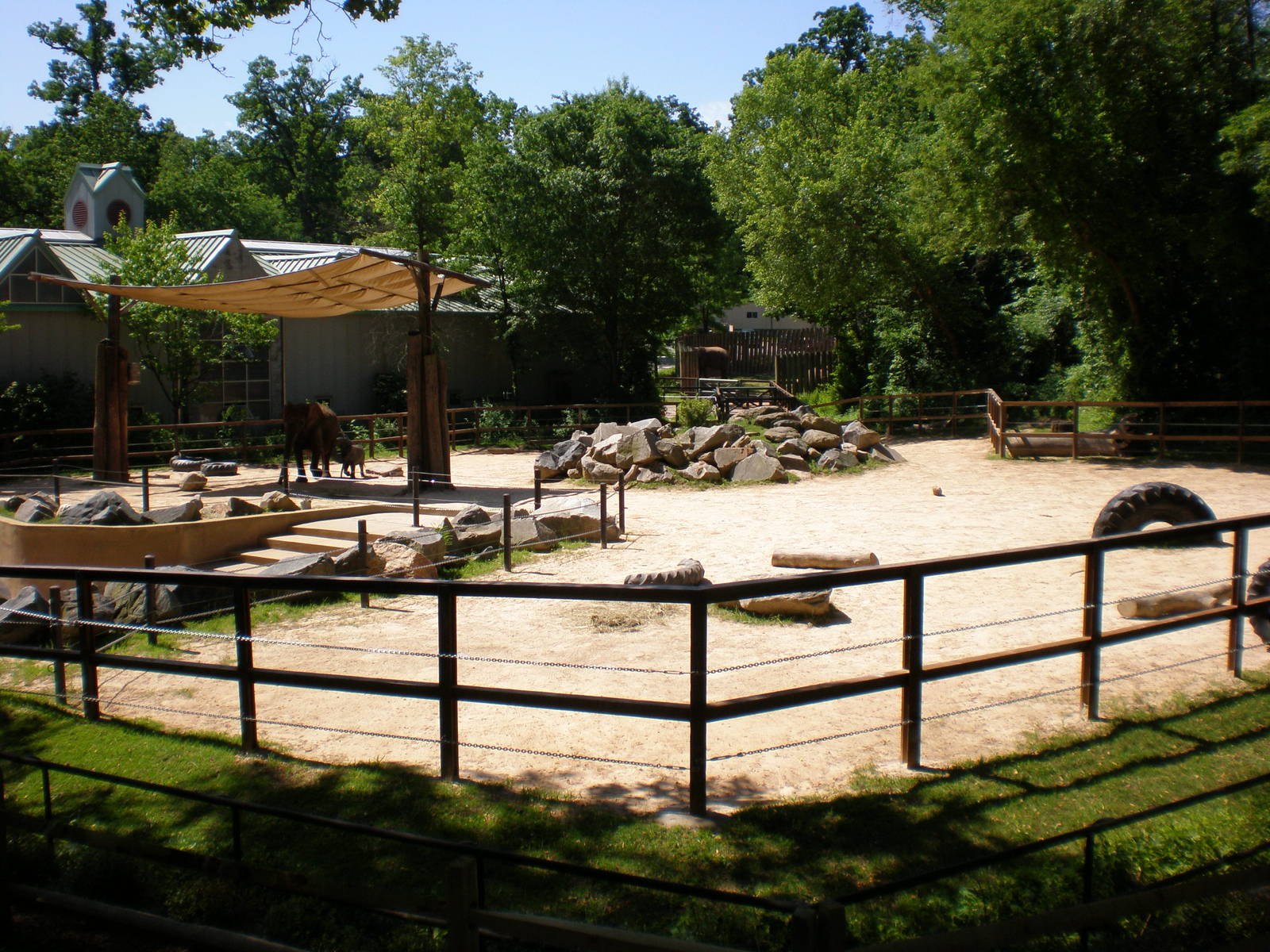 African Elelphant Exhibit- Maryland Zoo MAY08