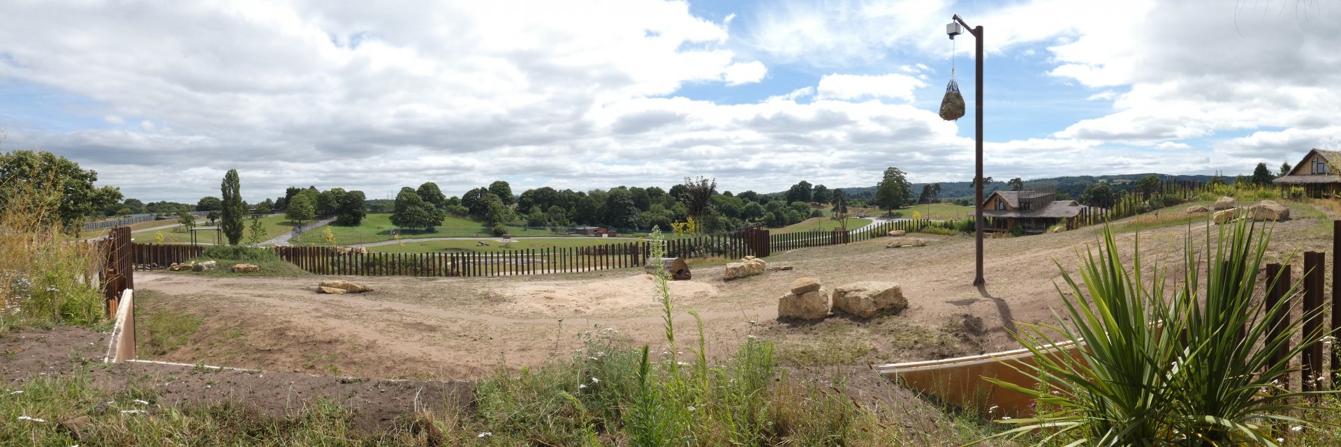 African elephant 24 hour enclosure panorama