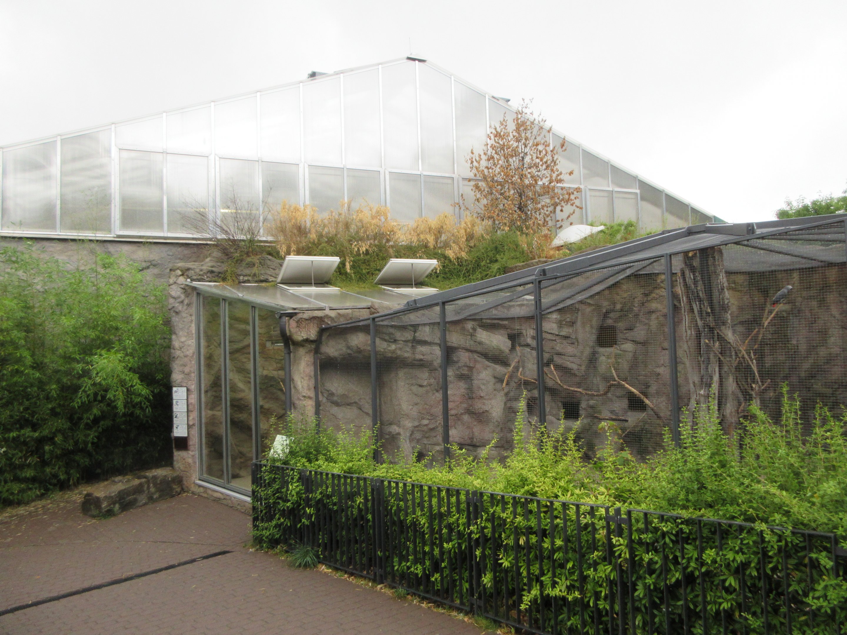 African Elephant Barn + Bush Hyrax Exhibit