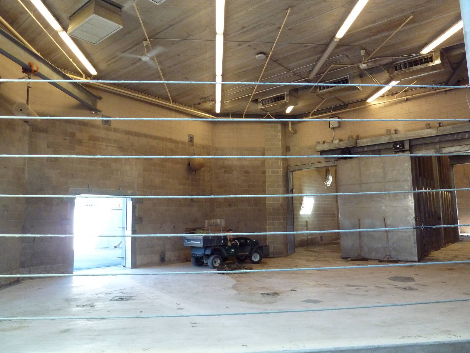 African Elephant Barn