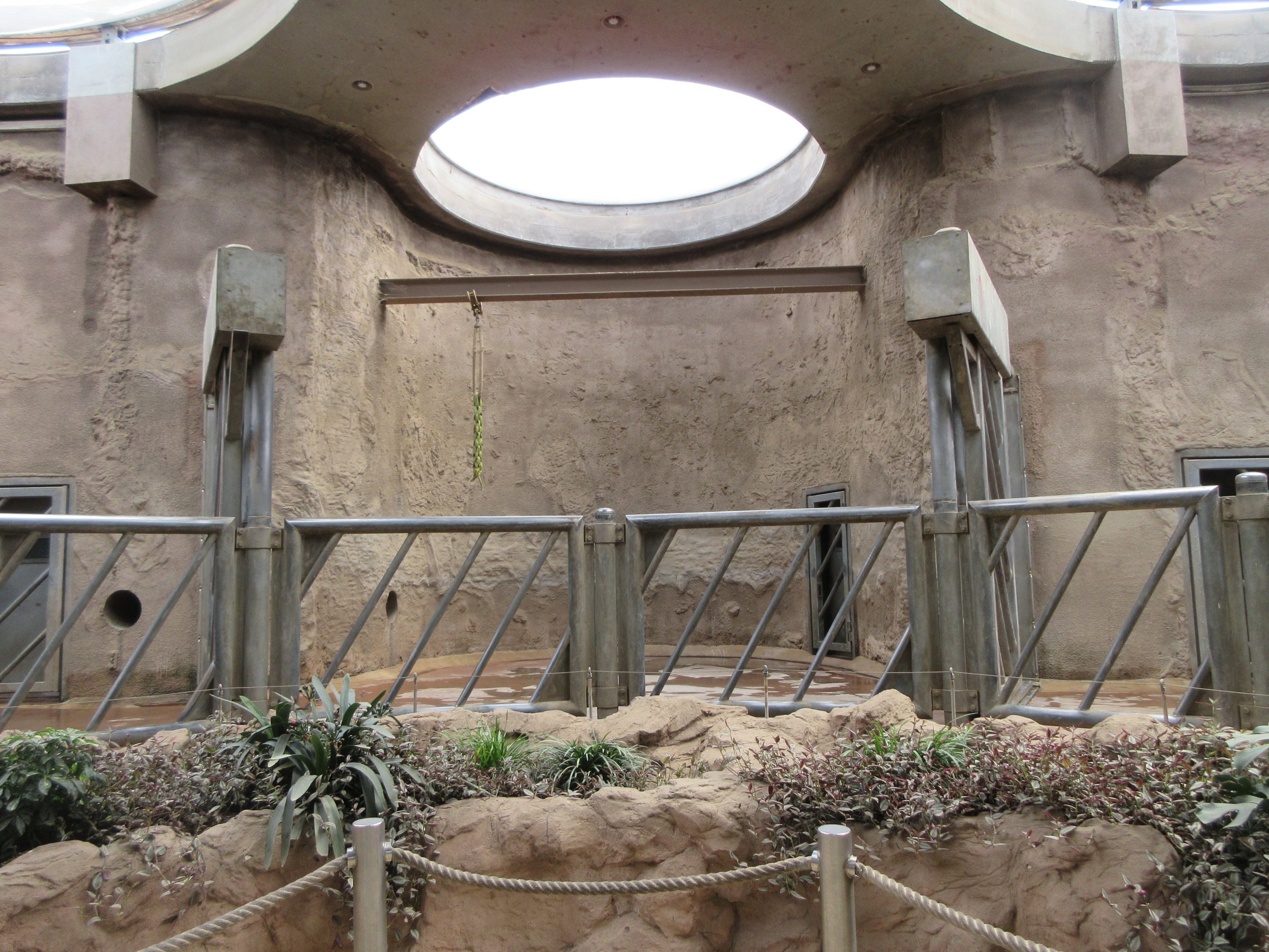 African Elephant Barn