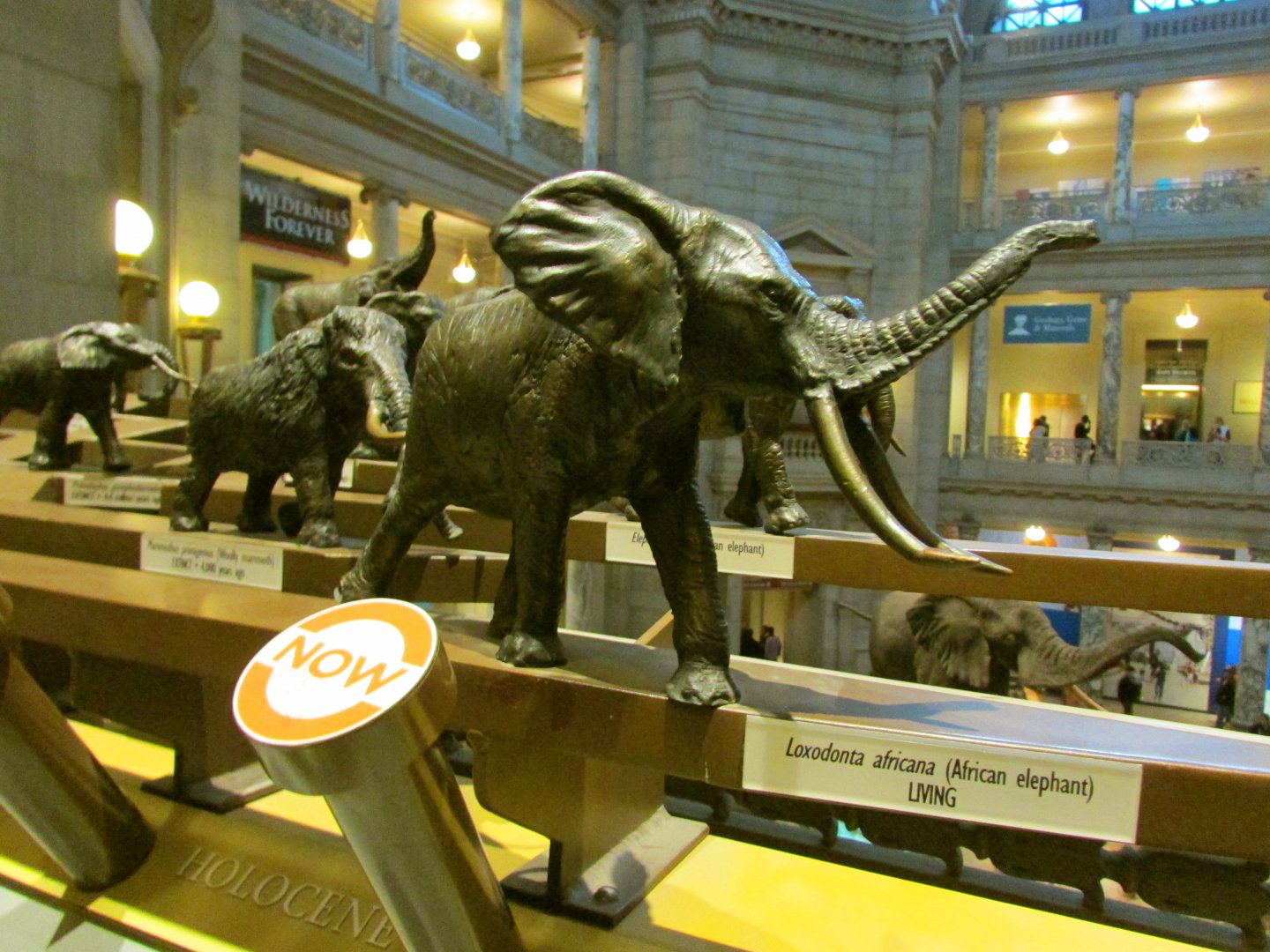 African Elephant Bronze Sculpture