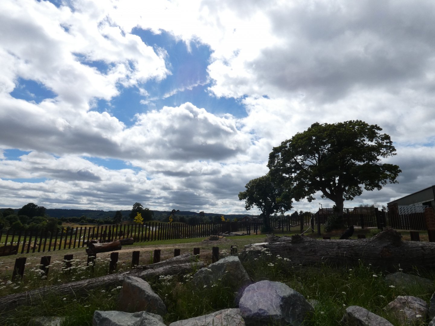 African elephant bull enclosure