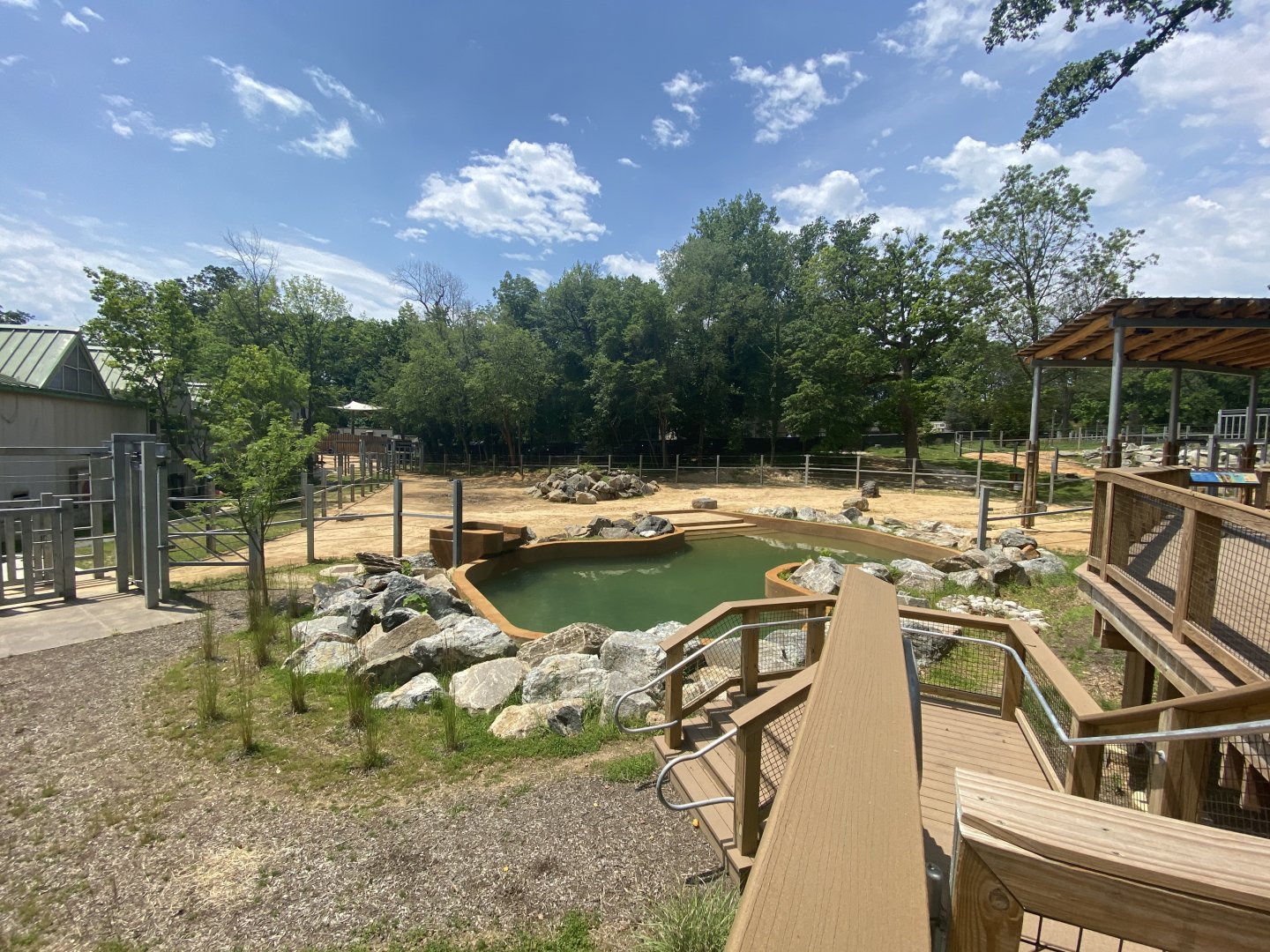 African Elephant Center Yard