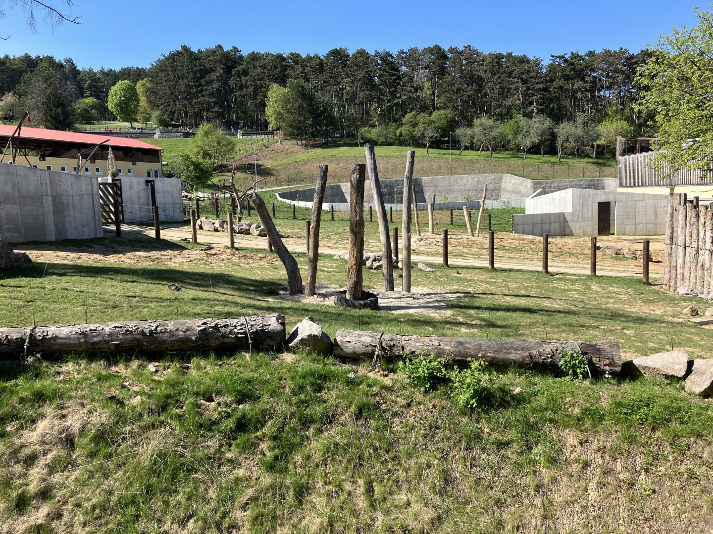 African elephant complex-09/2023