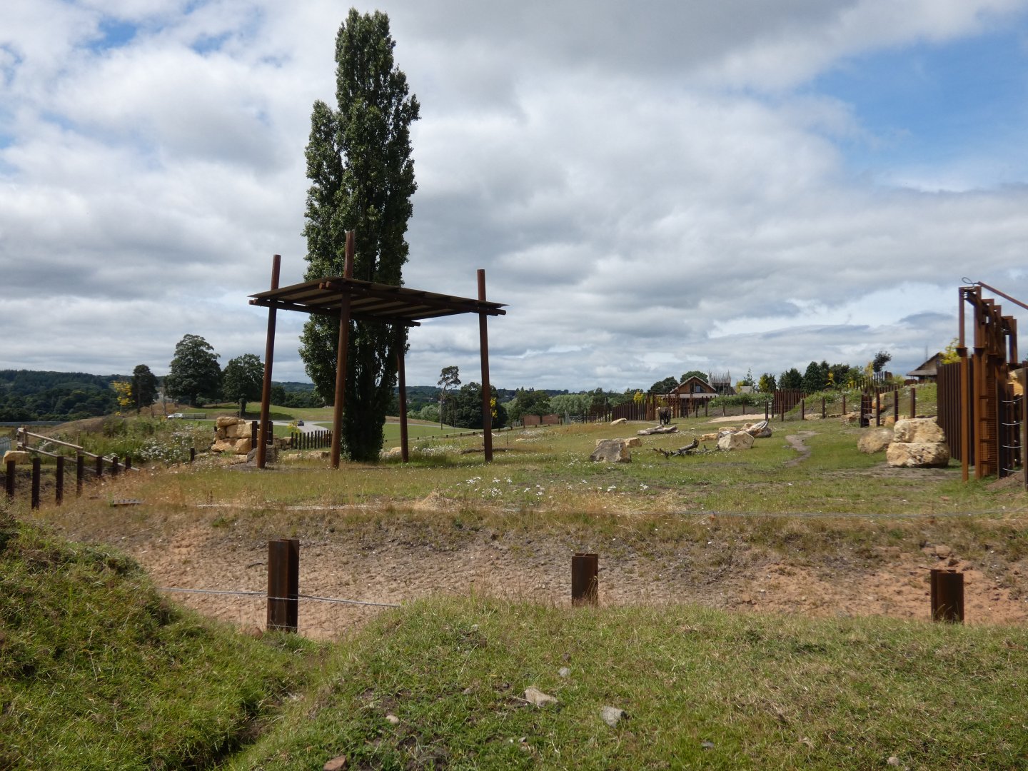African elephant cow day enclosure (3)