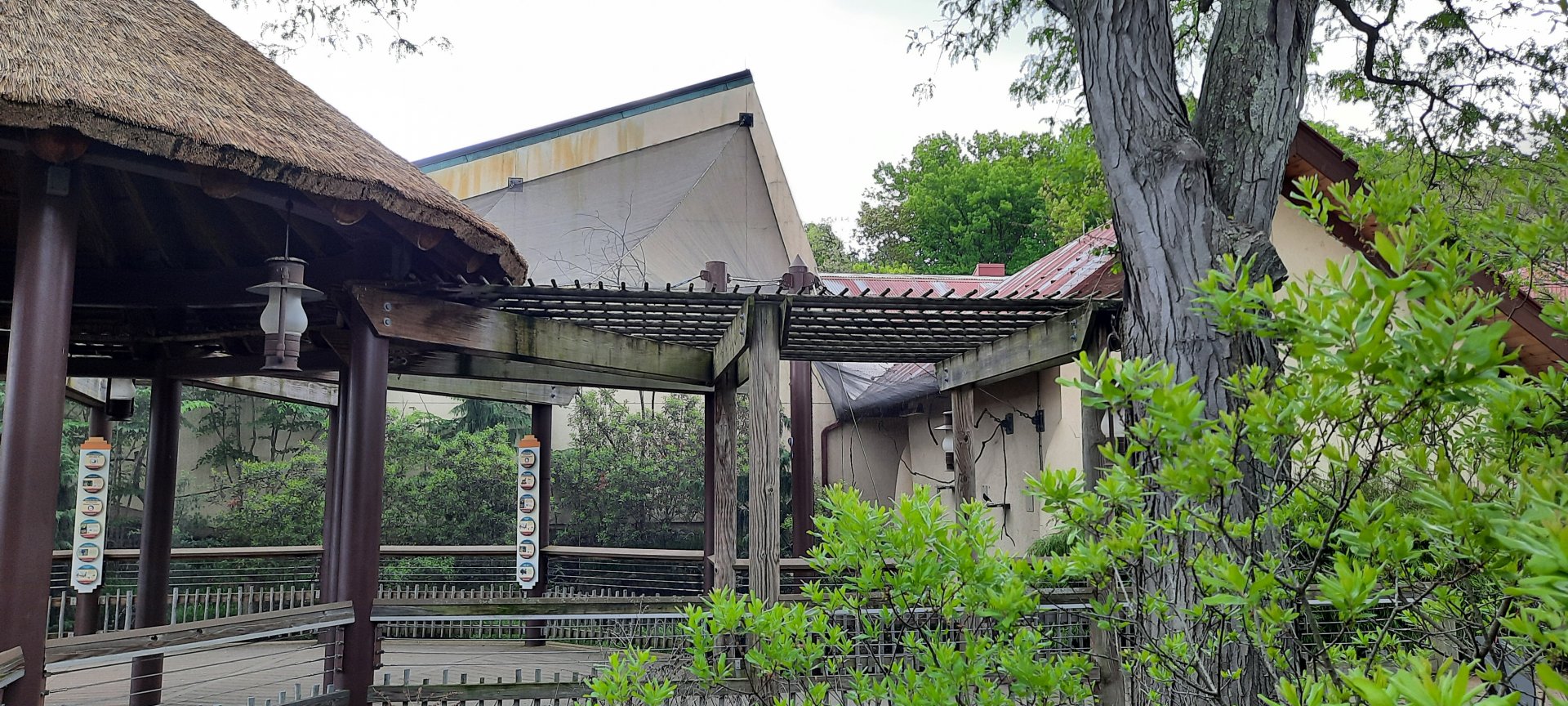 African Elephant Crossing Aviary