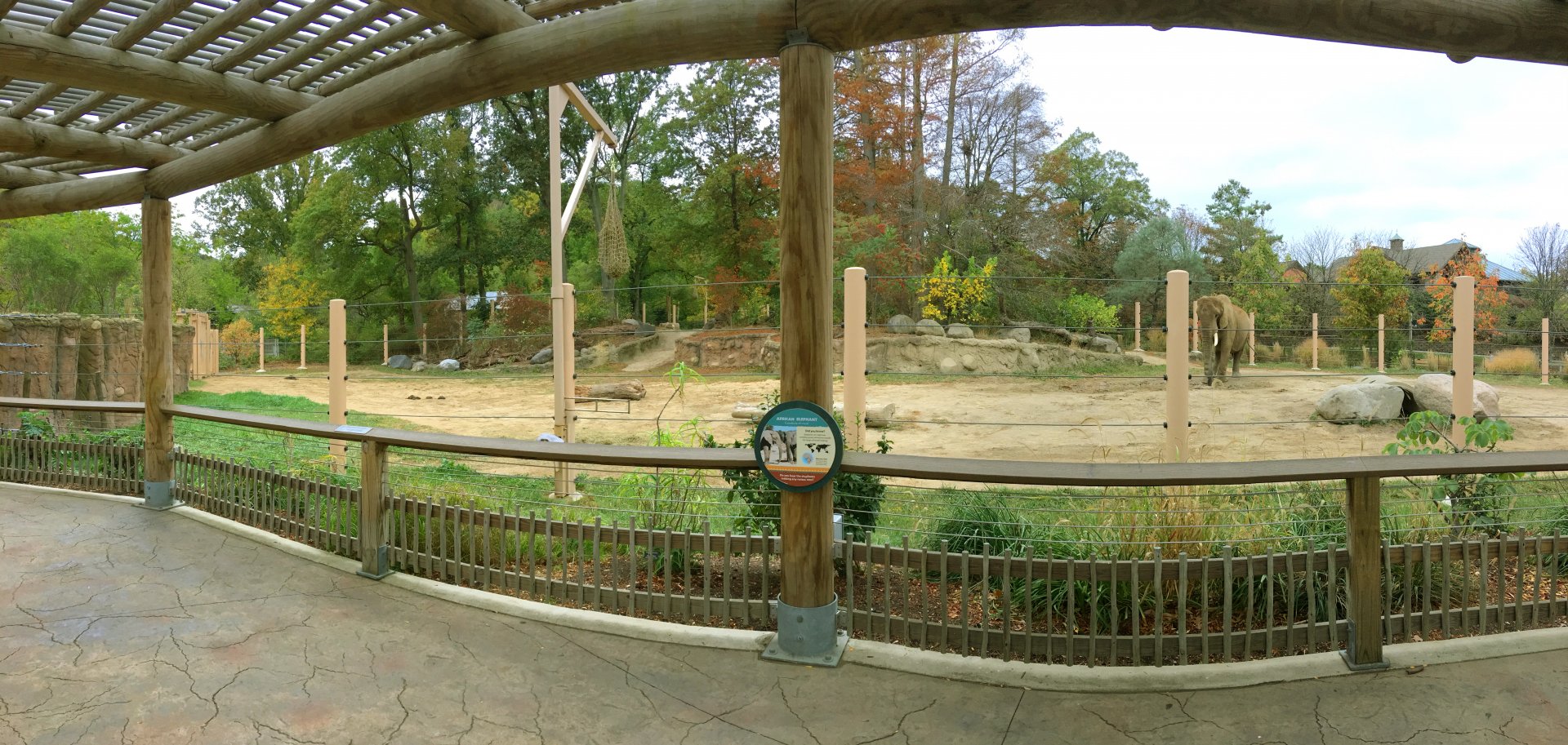 African Elephant Crossing: Mopani Range