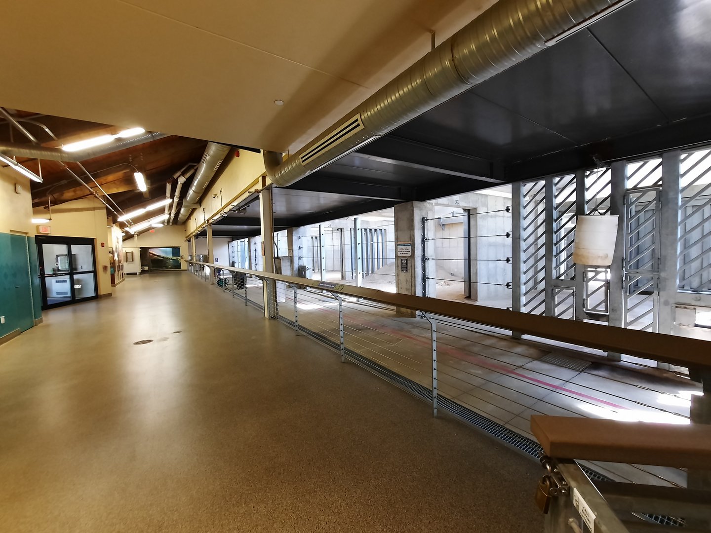 African Elephant Crossing Night Stalls