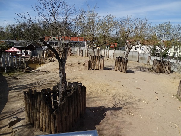 African elephant enclosure (04/22)