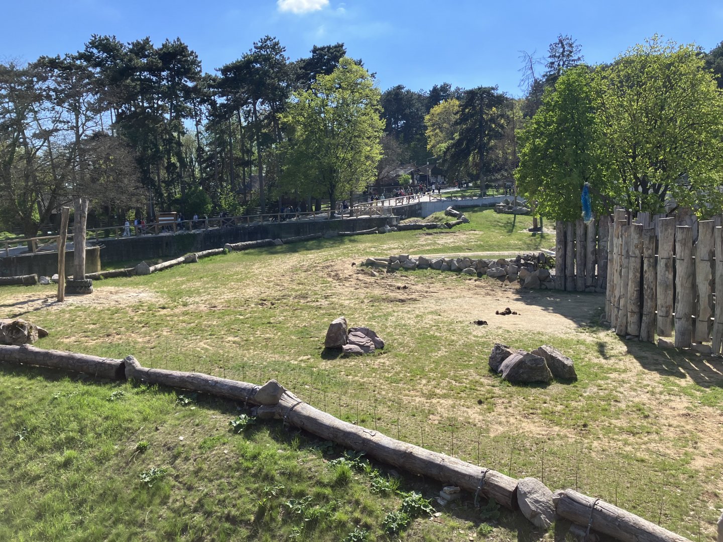 African elephant enclosure-09/2023