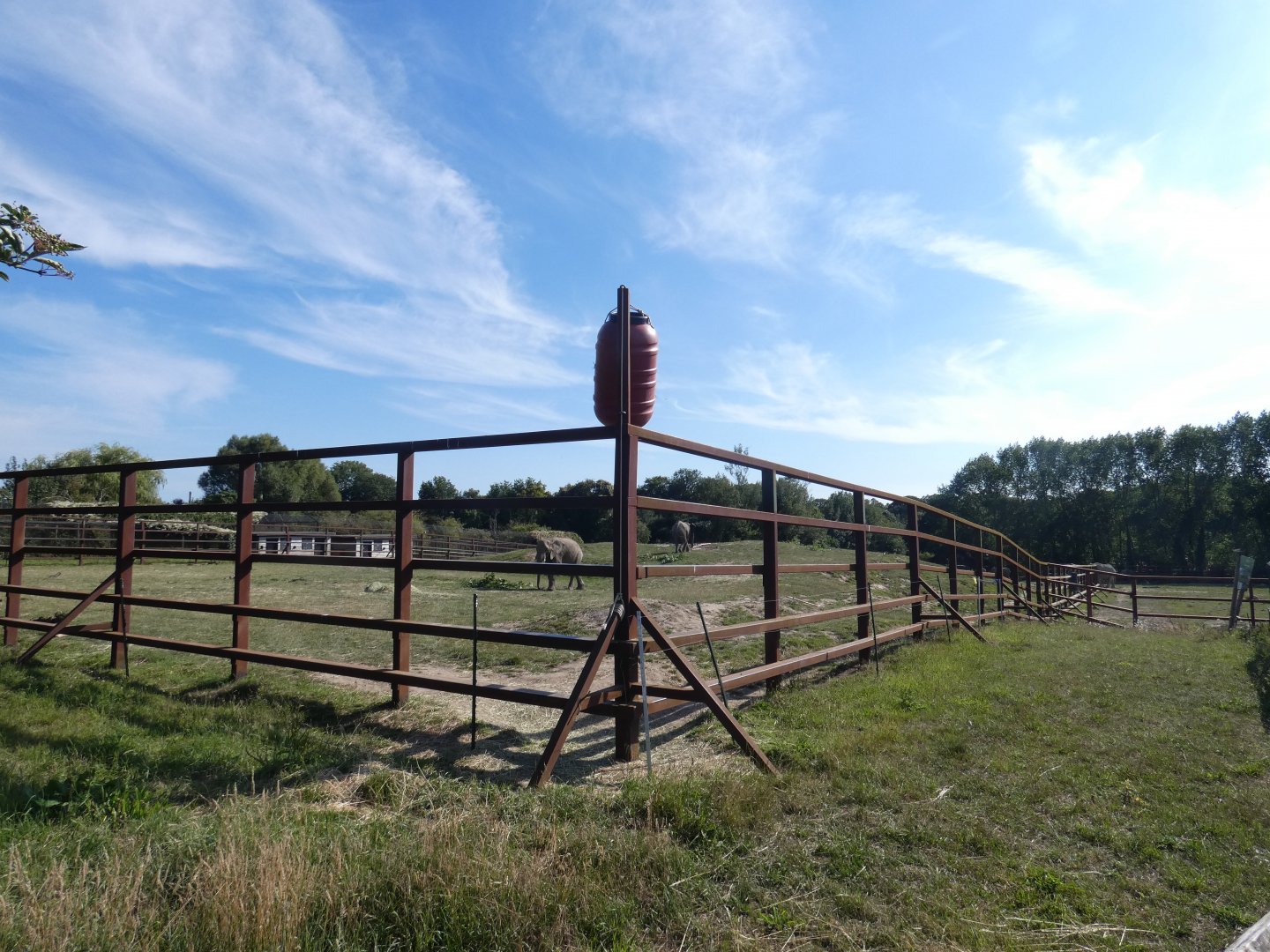 African Elephant enclosure (2)