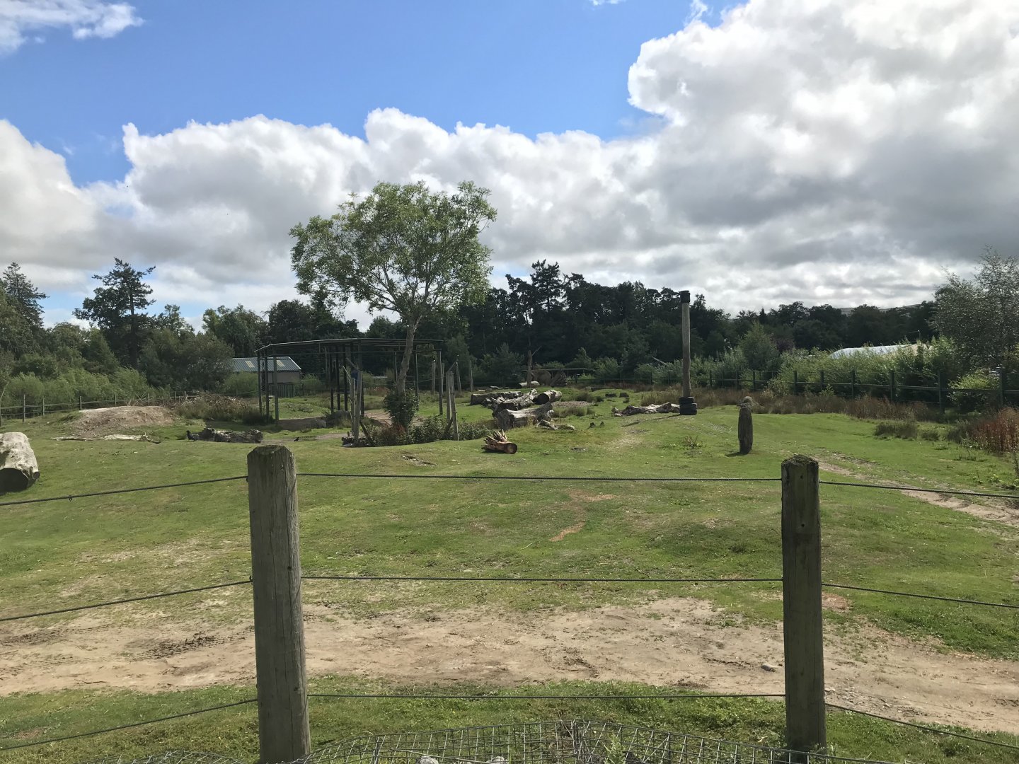 African elephant enclosure (2)