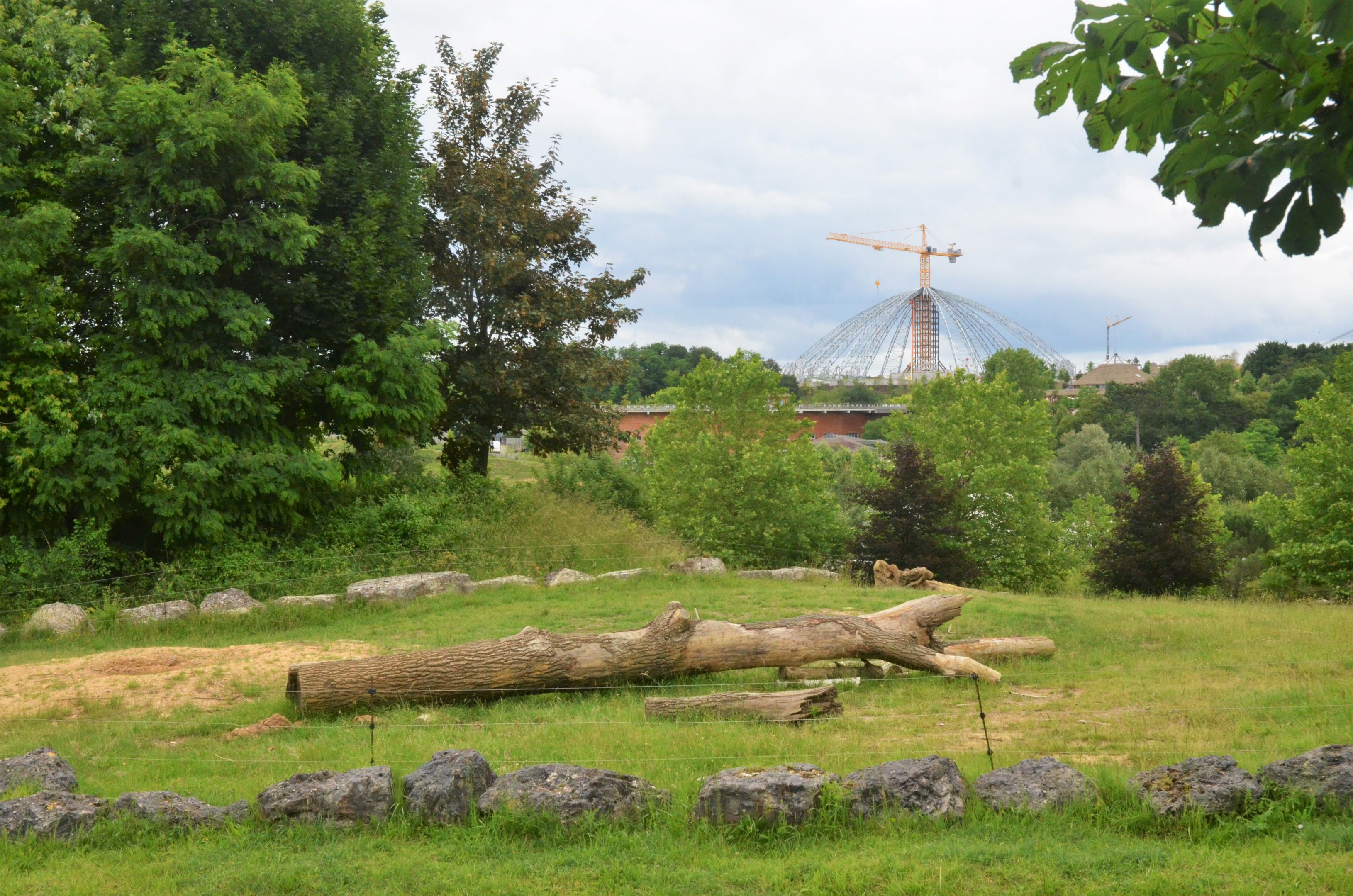 African Elephant Enclosure at Beauval, 12/06/18