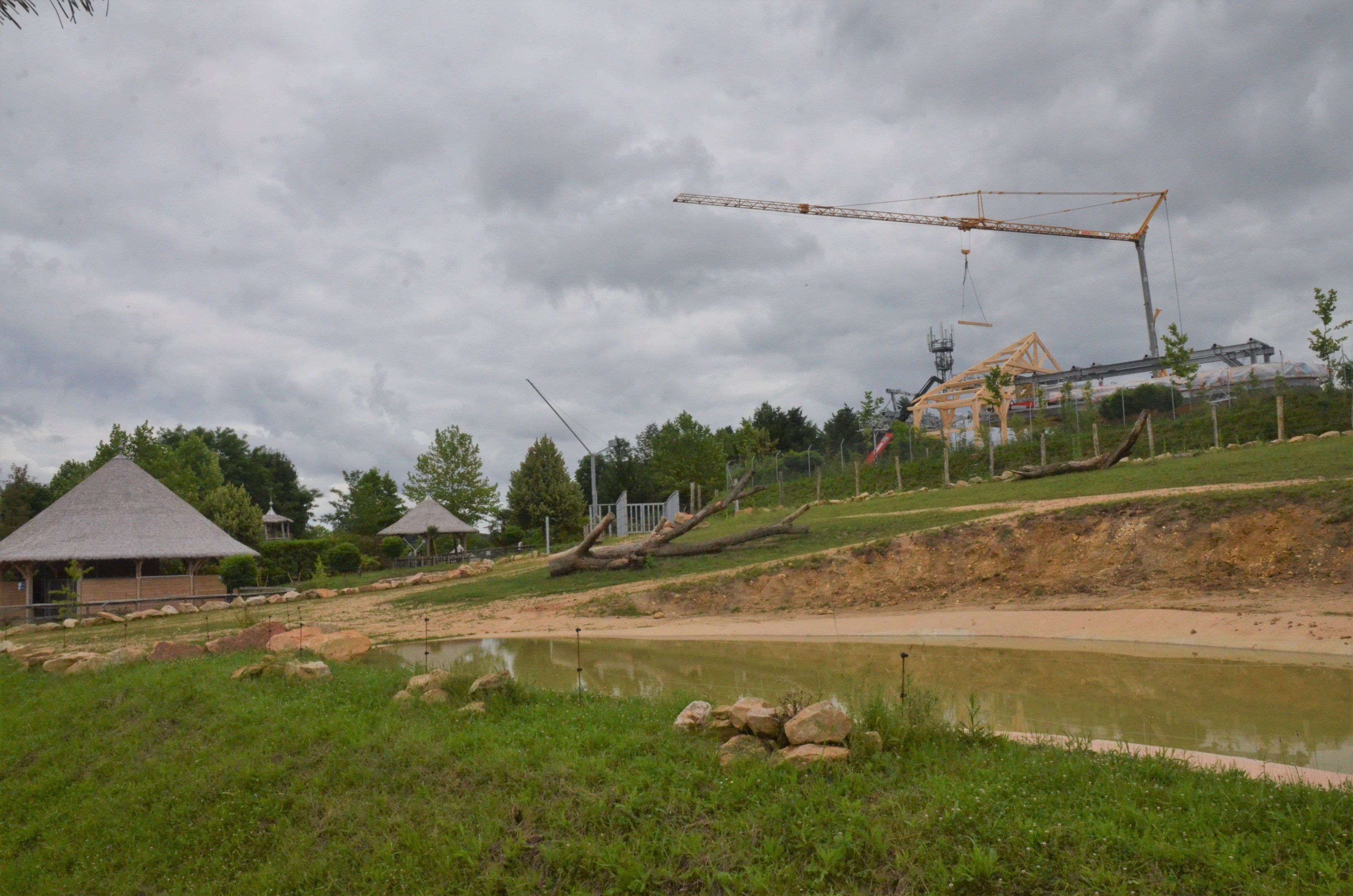 African Elephant Enclosure at Beauval, 12/06/18