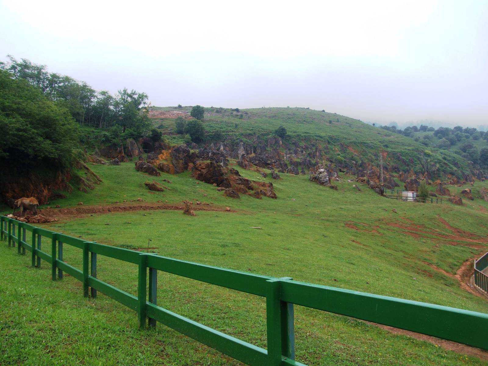 African Elephant Enclosure at Cabarceno, 11/06/15