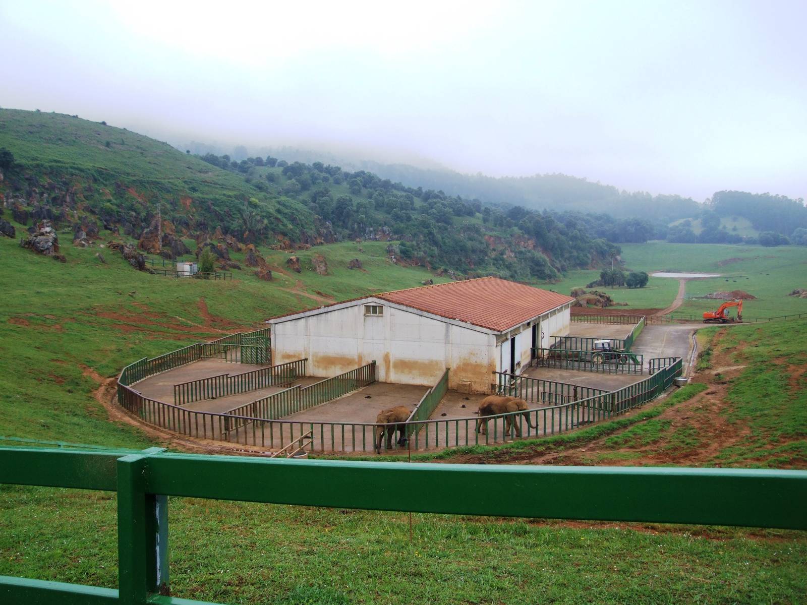 African Elephant Enclosure at Cabarceno, 11/06/15