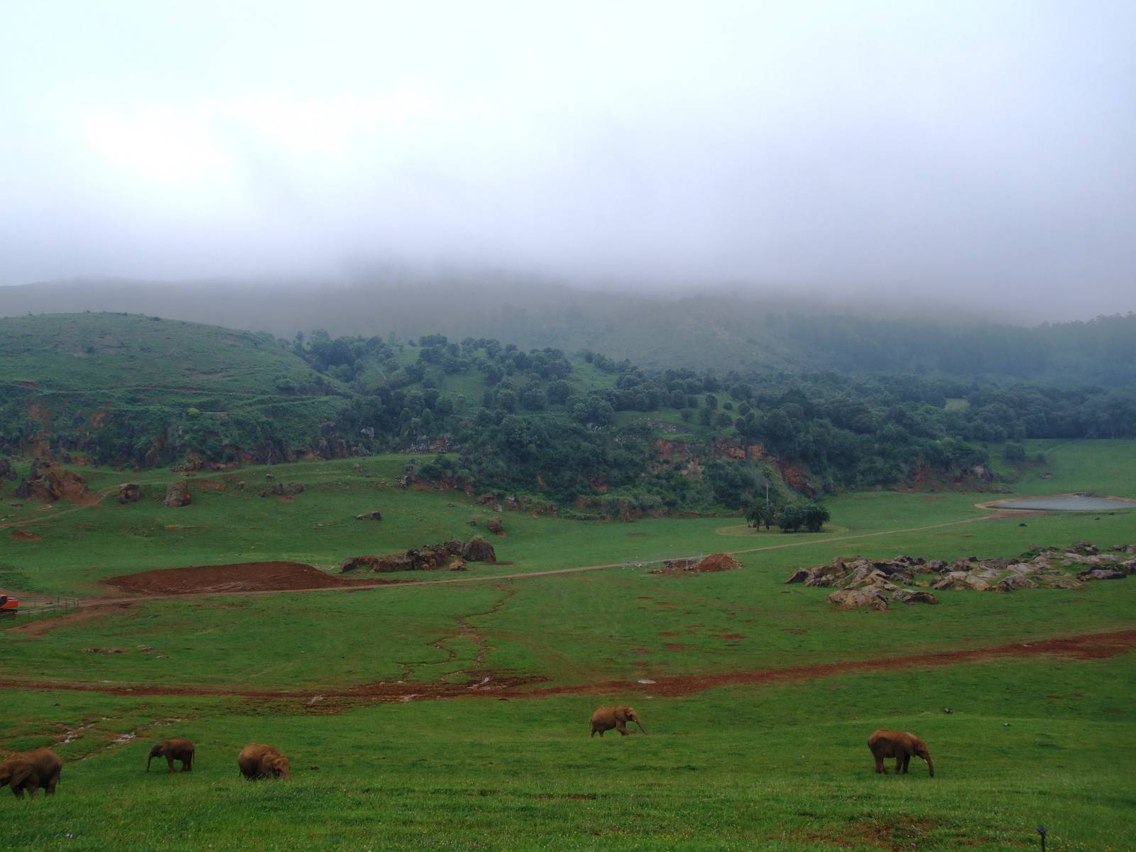 African Elephant Enclosure at Cabarceno, 11/06/15