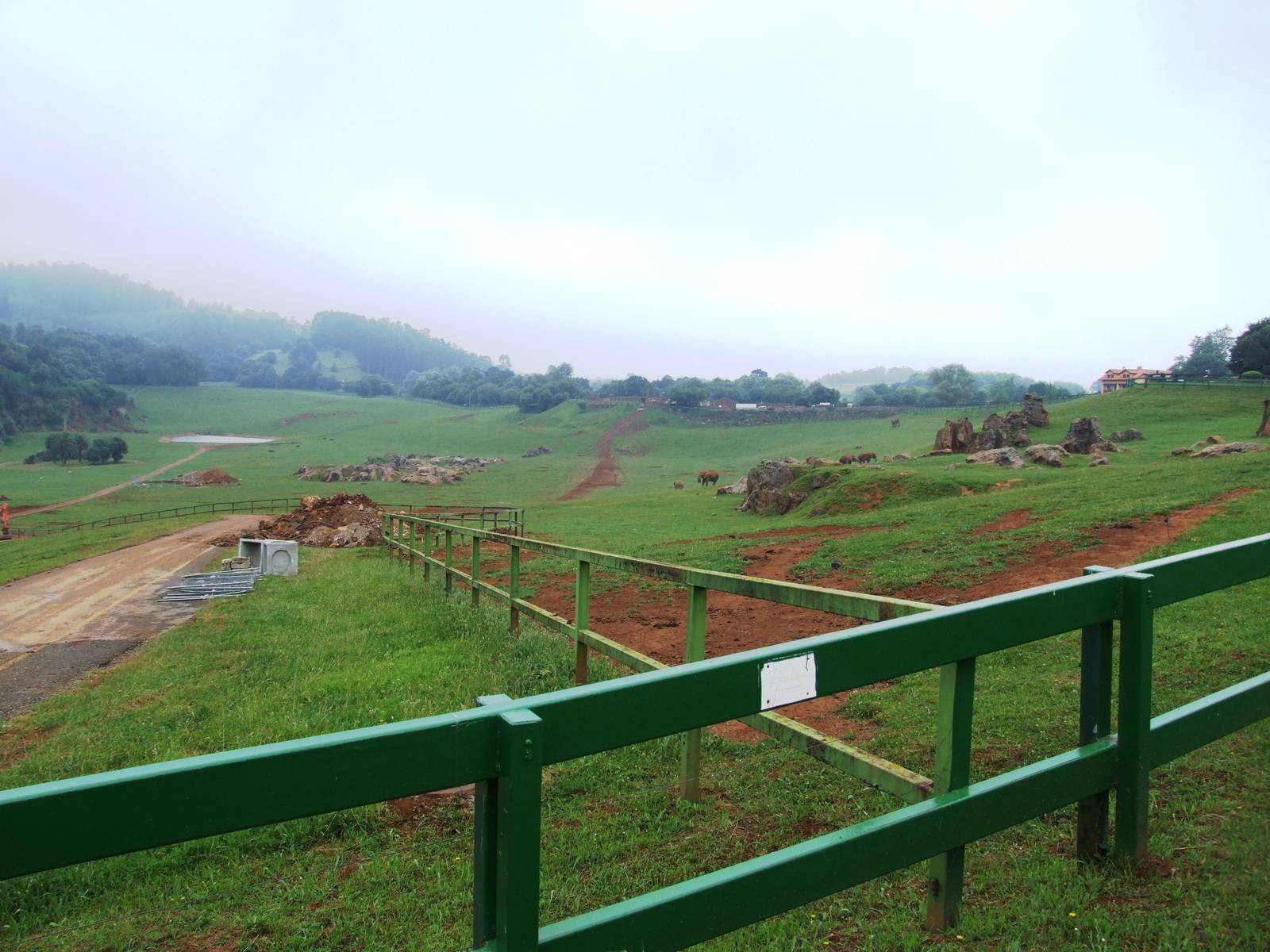 African Elephant Enclosure at Cabarceno, 11/06/15
