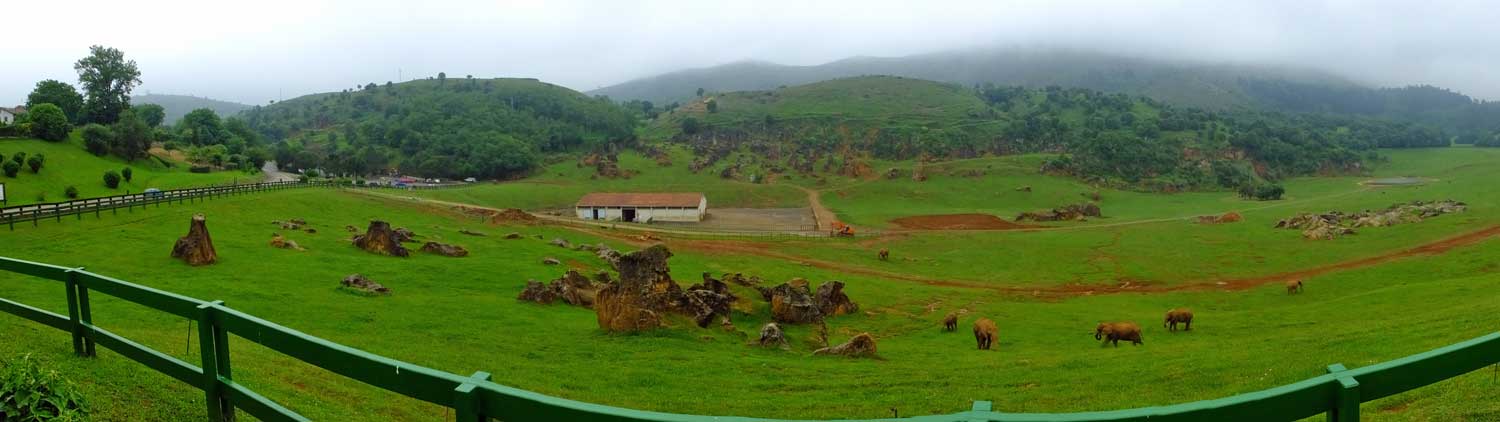 African Elephant enclosure (June 2015)