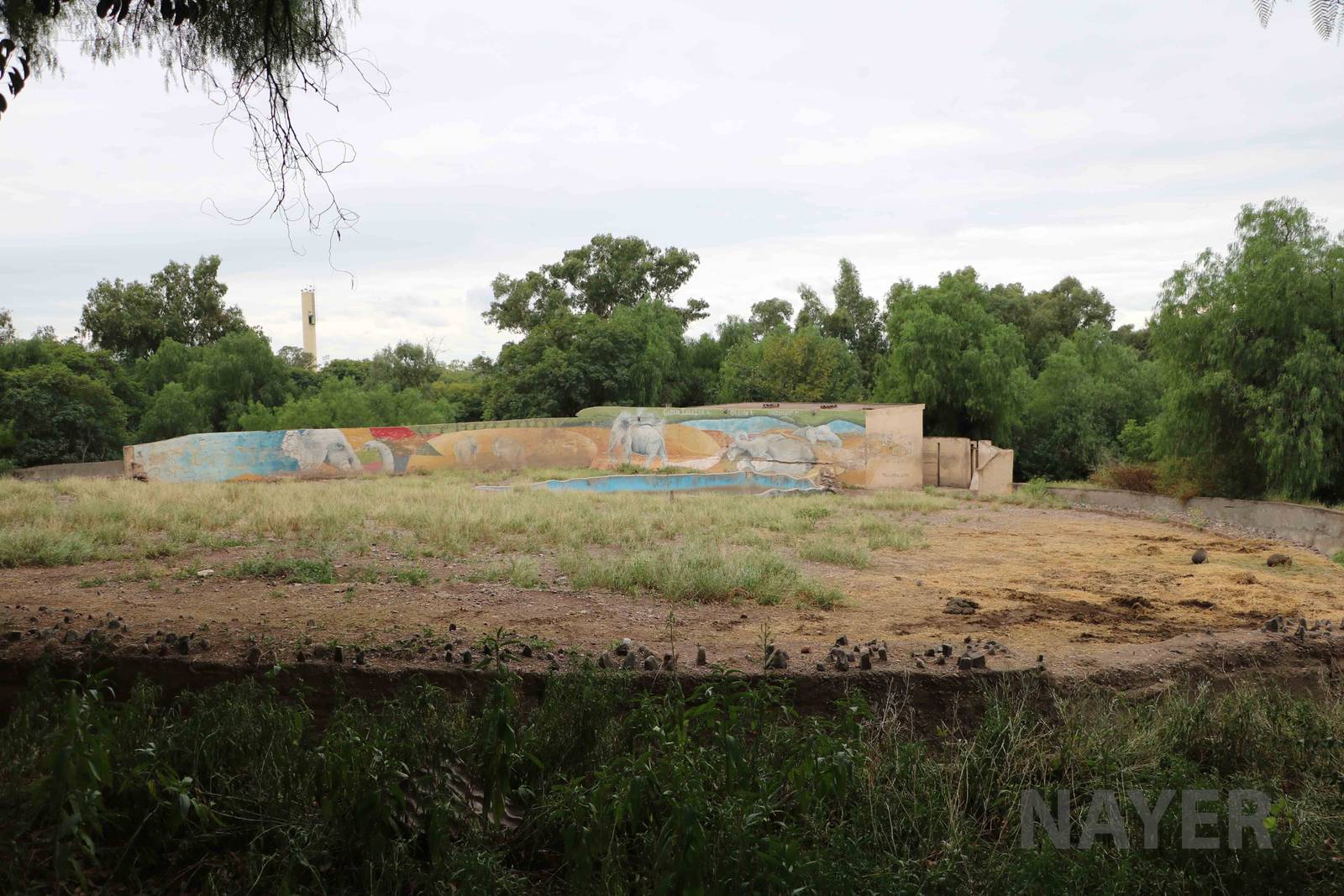African elephant enclosure - Mendoza Zoo, April 2016