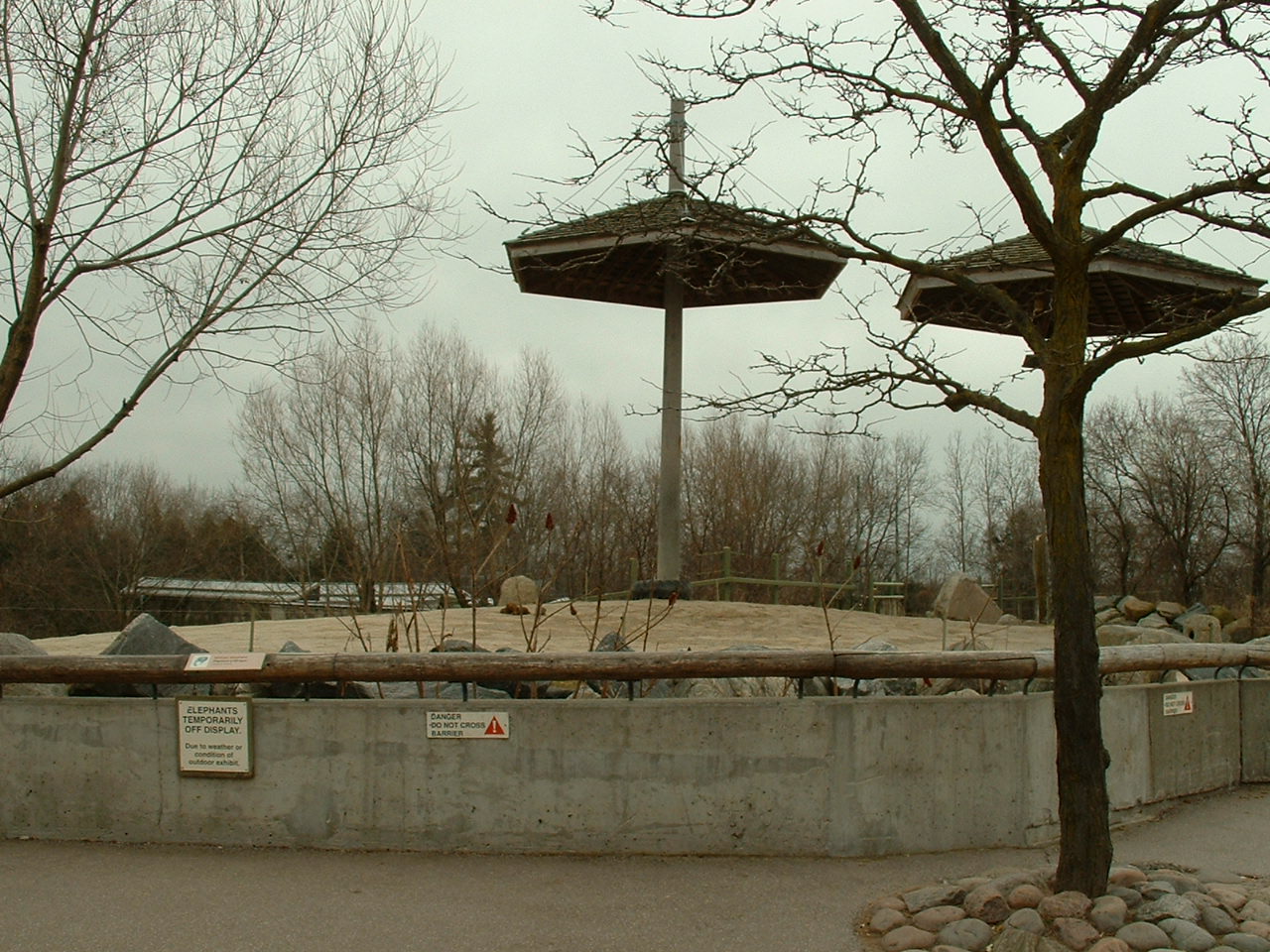 African Elephant Enclosure - Nov 2012