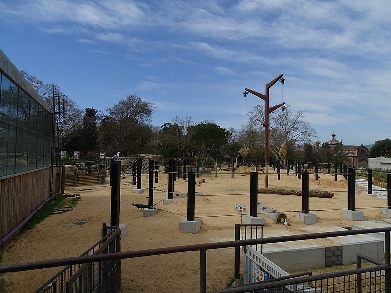 African elephant enclosure