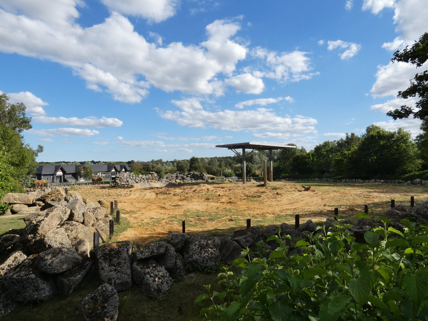 African Elephant enclosure