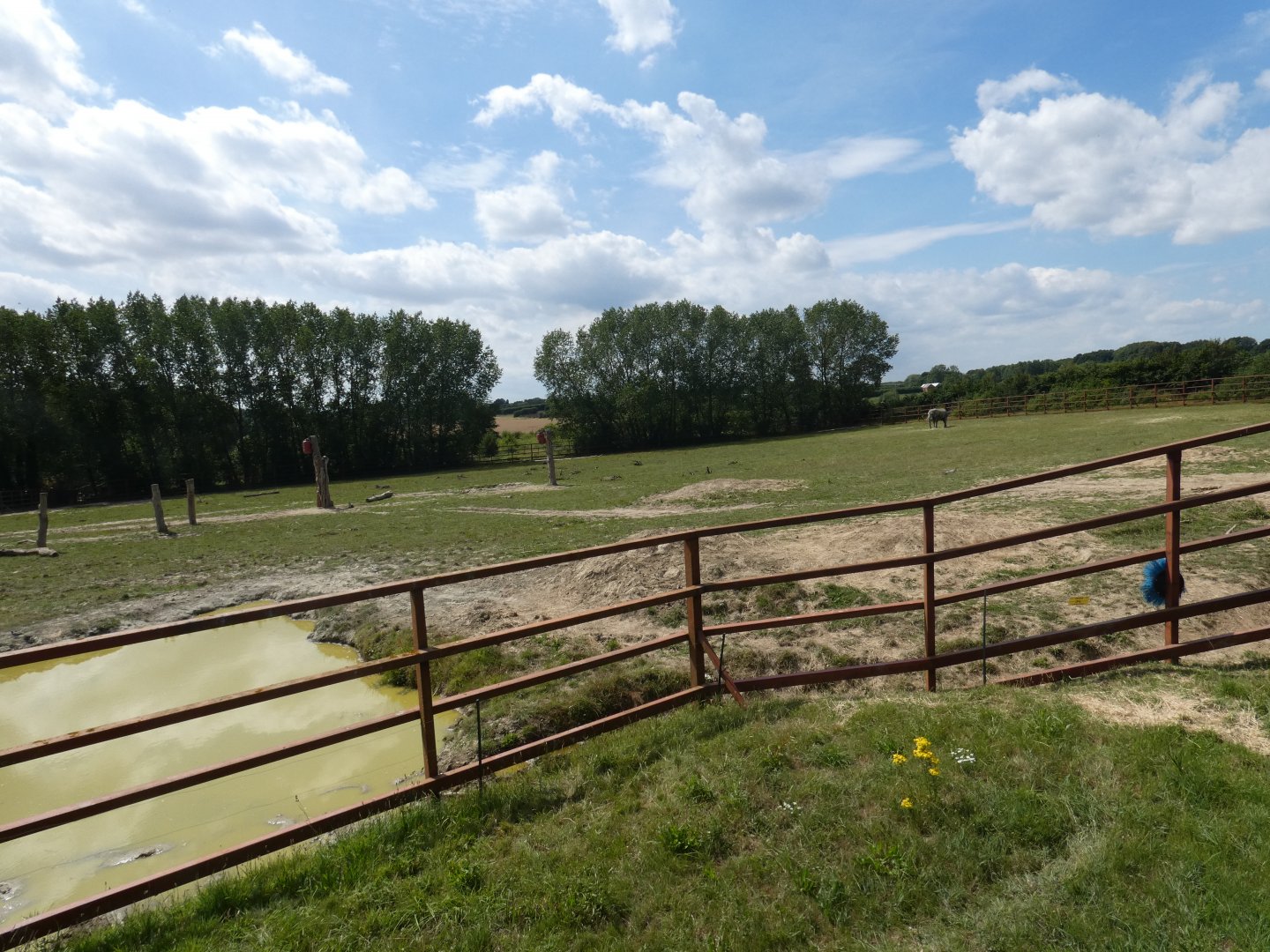 African Elephant enclosure