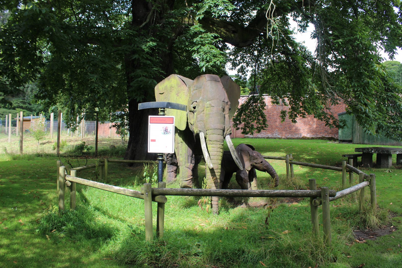 African elephant enclosure