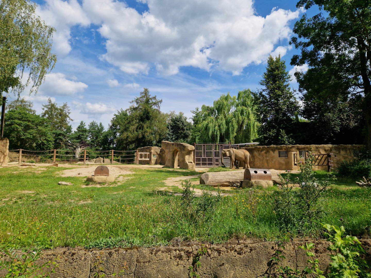 African elephant enclosure