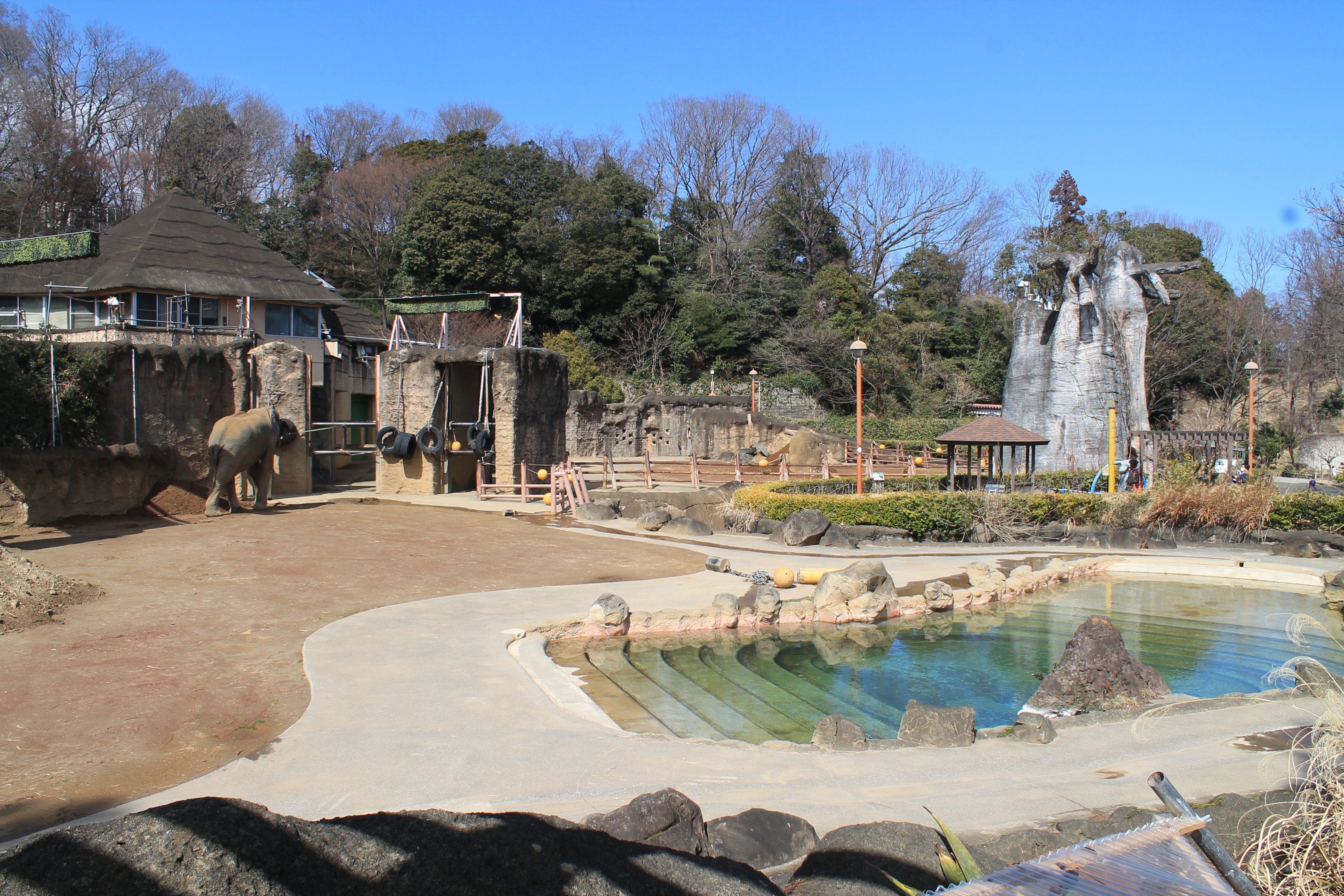 African Elephant enclosure